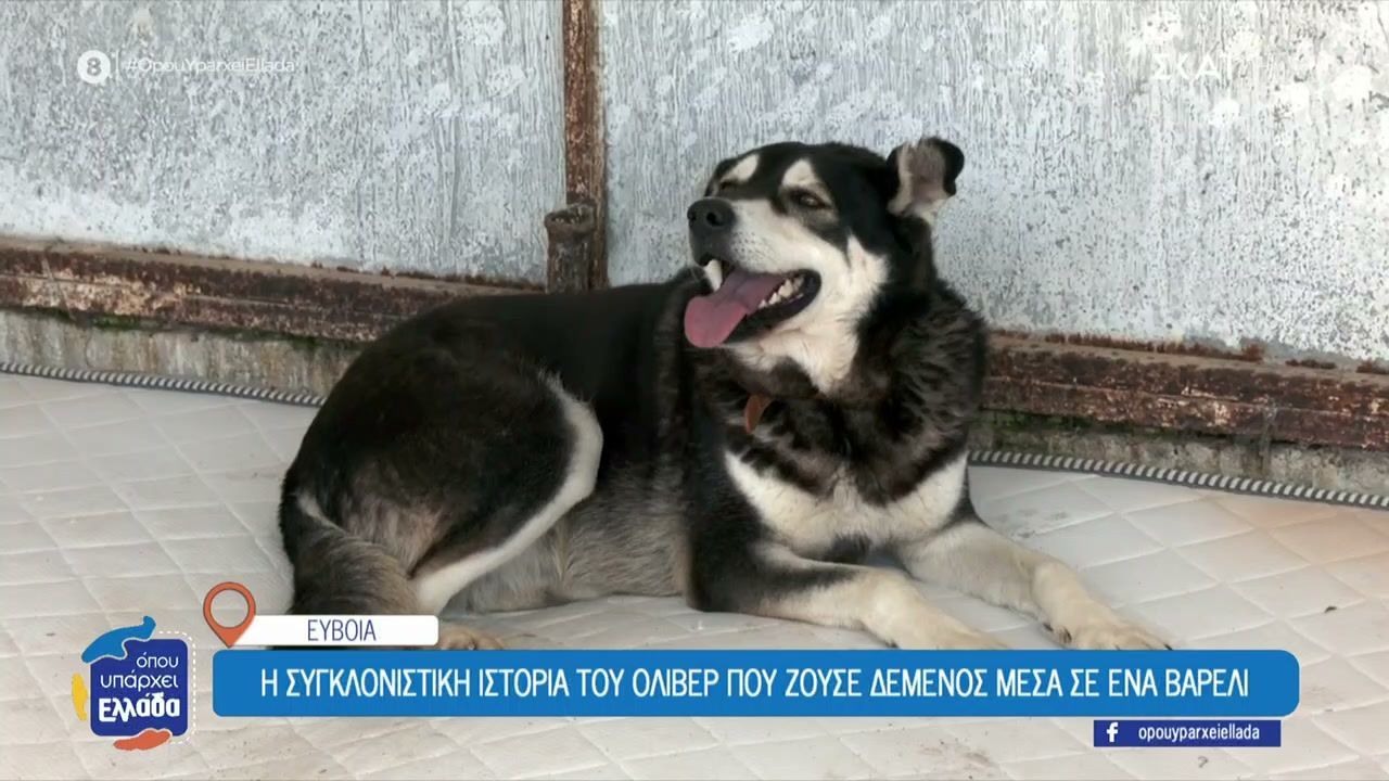 Η συγκλονιστική ιστορία του Όλιβερ που ζούσε δεμένος μέσα σε ένα βαρέλι