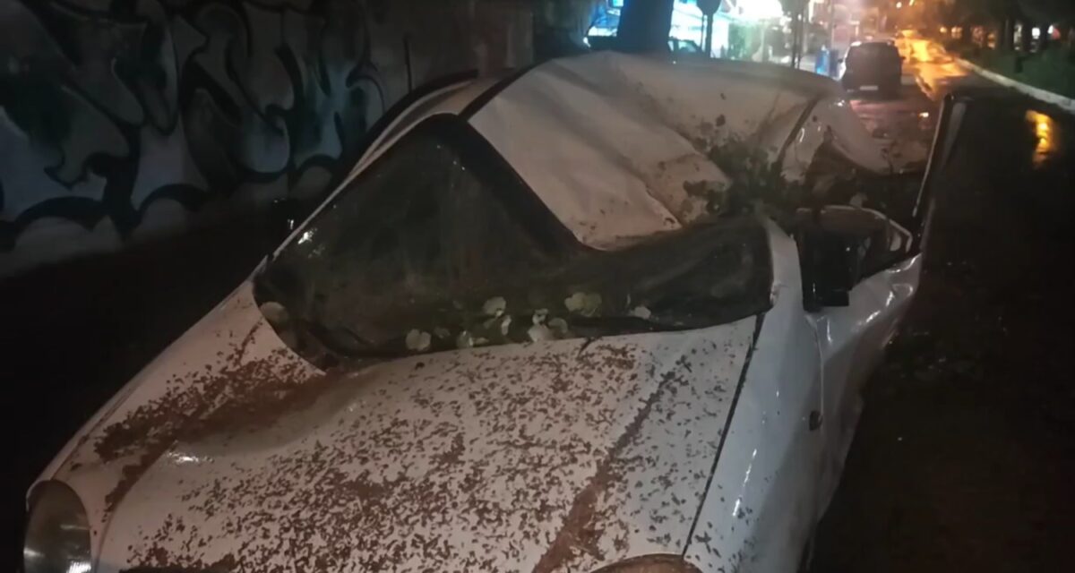 Κακοκαιρία Erminio: Δέντρο καταπλάκωσε αυτοκίνητο στην Ηλιούπολη