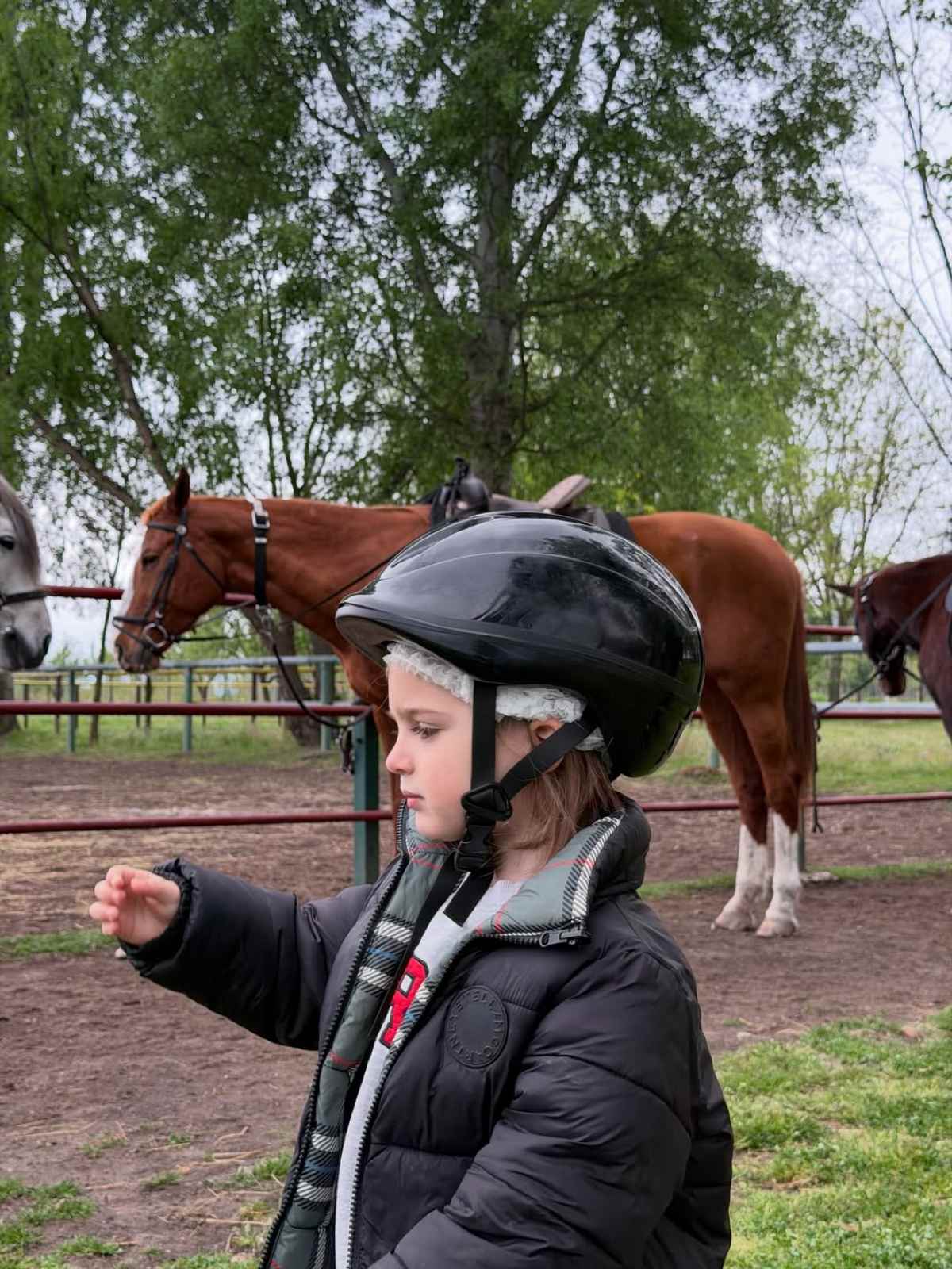 Ιωάννα Τούνη