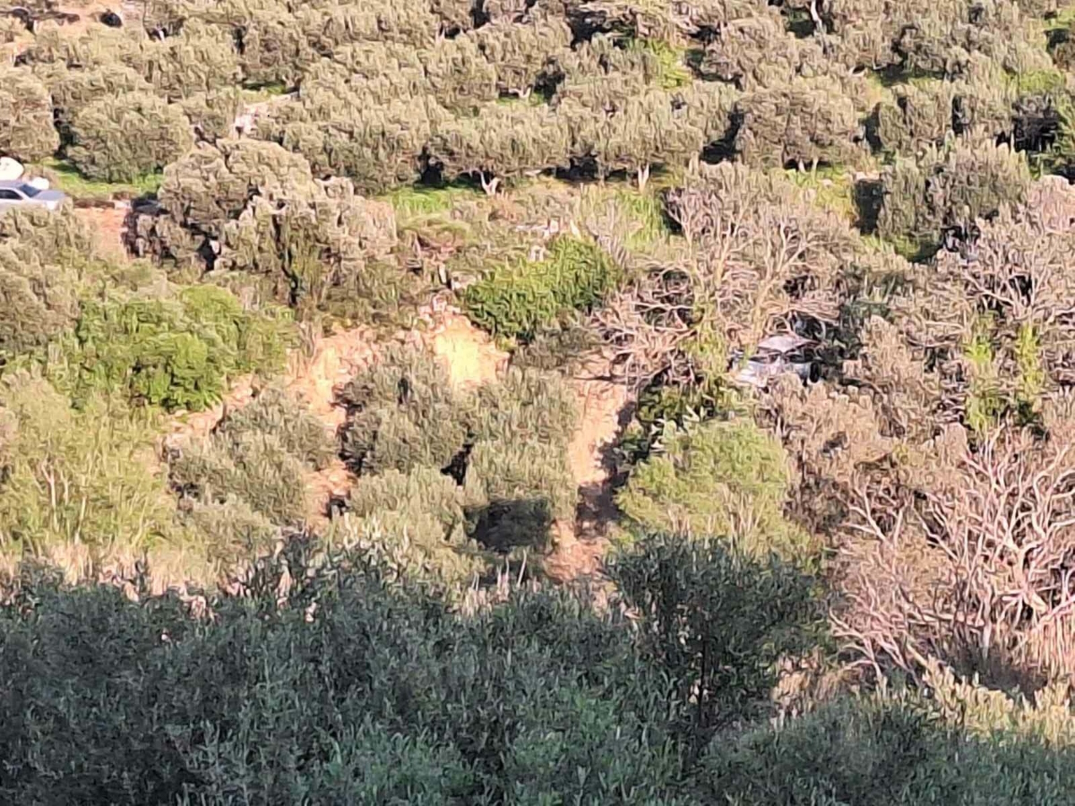 Η Ελευθερία Γιακουμάκη δολοφονήθηκε εξ επαφής στο κεφάλι από 40χρονο πρώην σύντροφο – Την πλησίασε από το παράθυρο του οδηγού και την εκτέλεσε