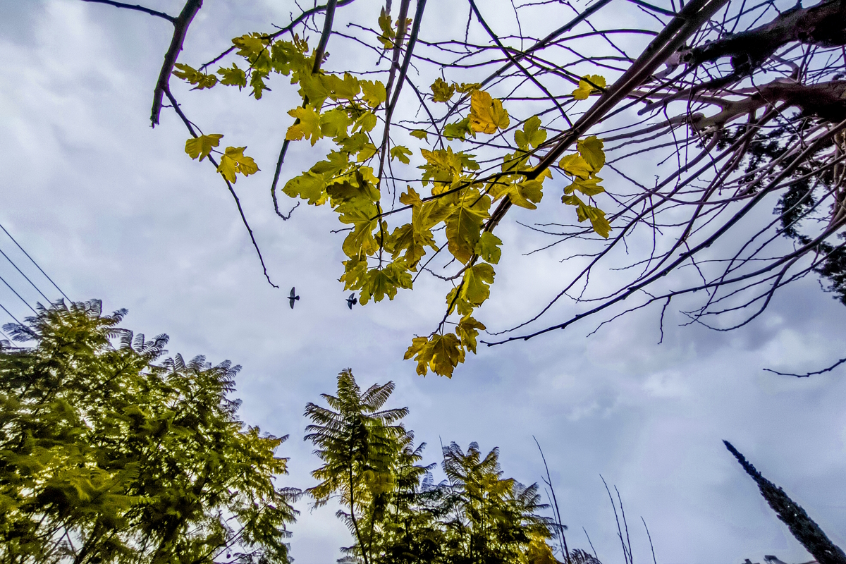Καιρός αύριο: Κυριακή του Πάσχα με λίγη συννεφιά και τοπικές βροχές