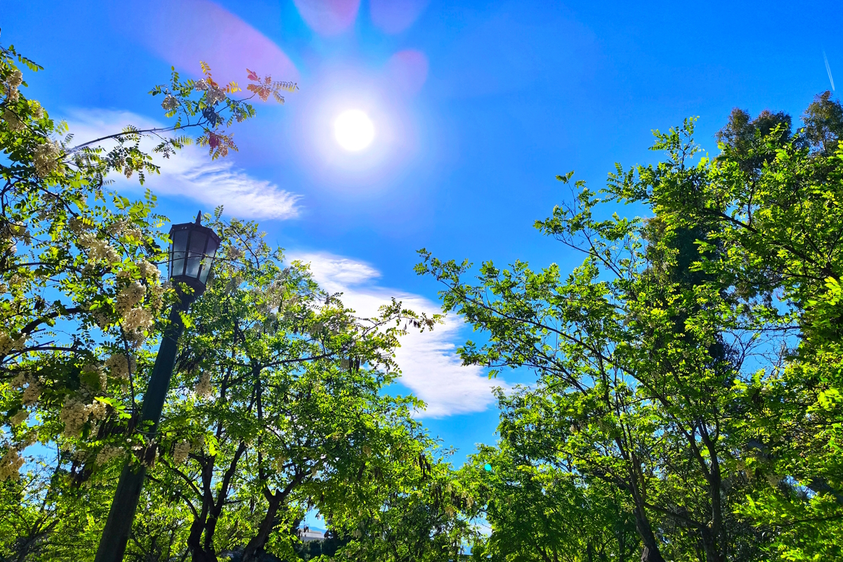 Καιρός αύριο: Λαμπερός ήλιος και σταθερά υψηλές θερμοκρασίες έως 27 βαθμούς