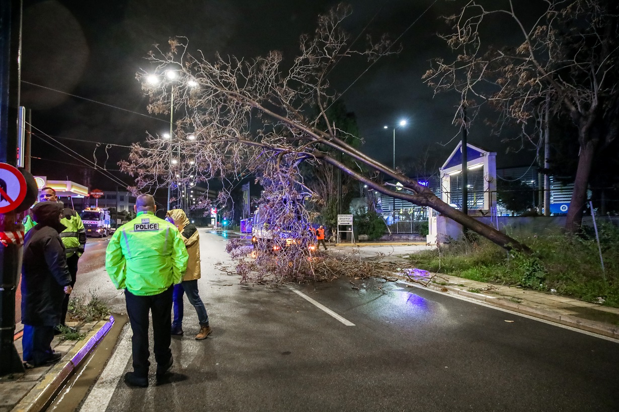 Πτώση δέντρου στην Πειραιώς 