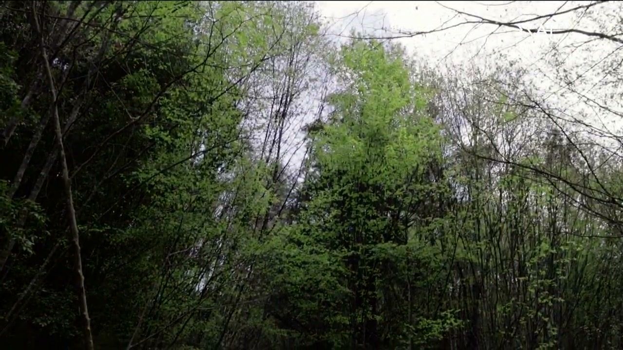 Καλά Νέα | 02/04/2026