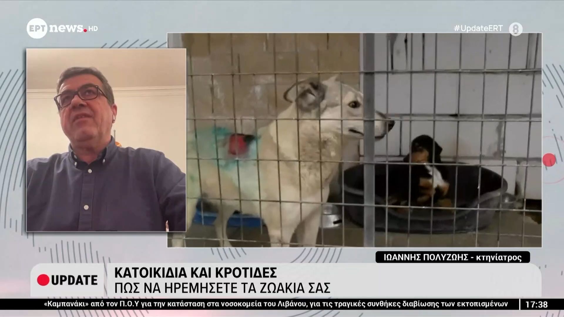 Κατοικίδια και κροτίδες: Πως να ηρεμήσετε τα ζωάκια σας