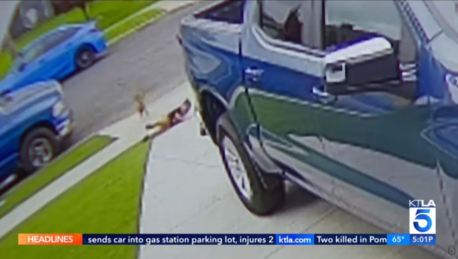 Βίντεο: Κογιότ επιτίθεται σε 4χρονο αγόρι μπροστά στο σπίτι του