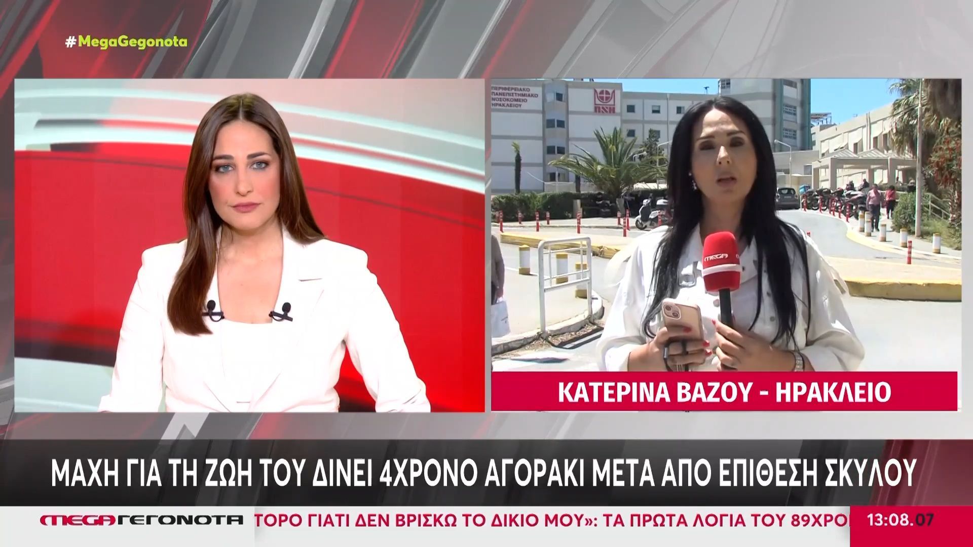 Κρήτη: Στο νοσοκομείο 4χρονος μετά από επίθεση σκύλου