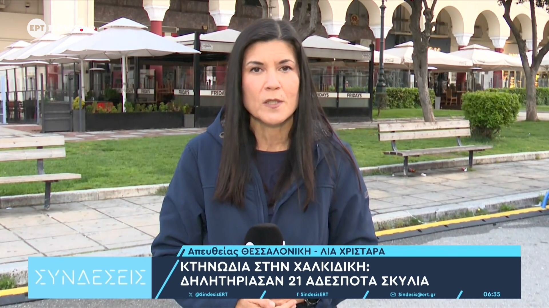 Κτηνωδία στην Χαλκιδική: Δηλητηρίασαν 21 αδέσποτα σκυλιά
