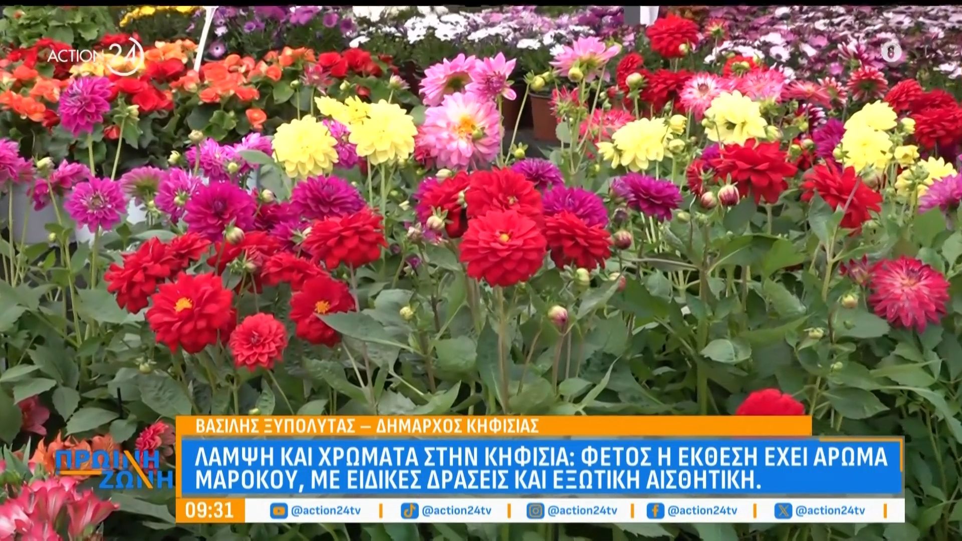 Λάμψη και χρώματα στην Κηφισιά: Φέτος η Ανθοκομική Έκθεση έχει… άρωμα Μαρόκου