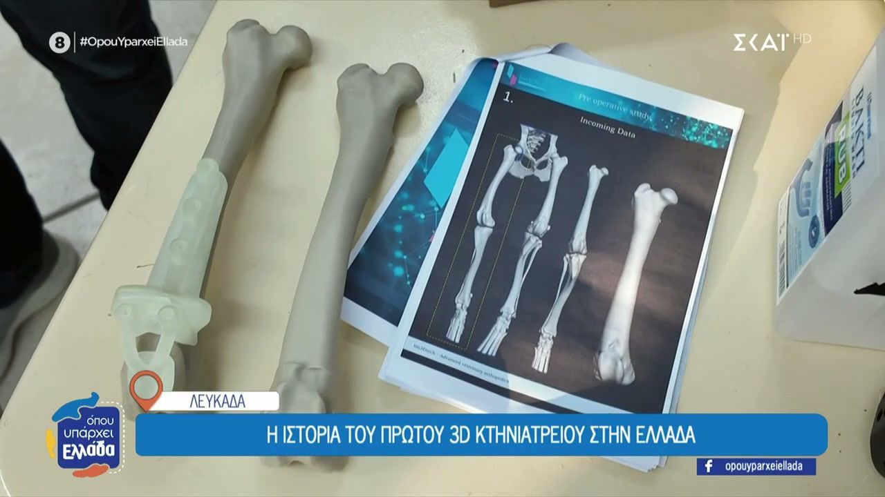 Λευκάδα: Το πρώτο κτηνιατρείο στην Ελλάδα που εφαρμόζει την 3D εκτύπωση οστών για ζώα με προβλήματα