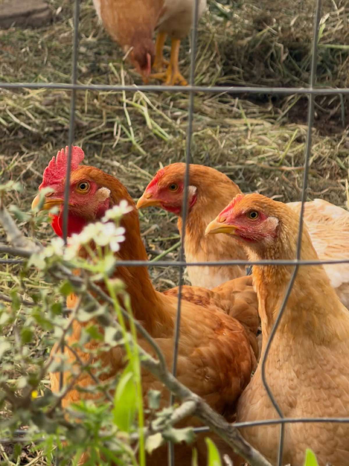 Η Ζέτα Μακρυπούλια αποκάλυψε τον τόπο καταγωγής της με μια υπέροχη φωτογραφία 19 Ζέτα Μακρυπούλια