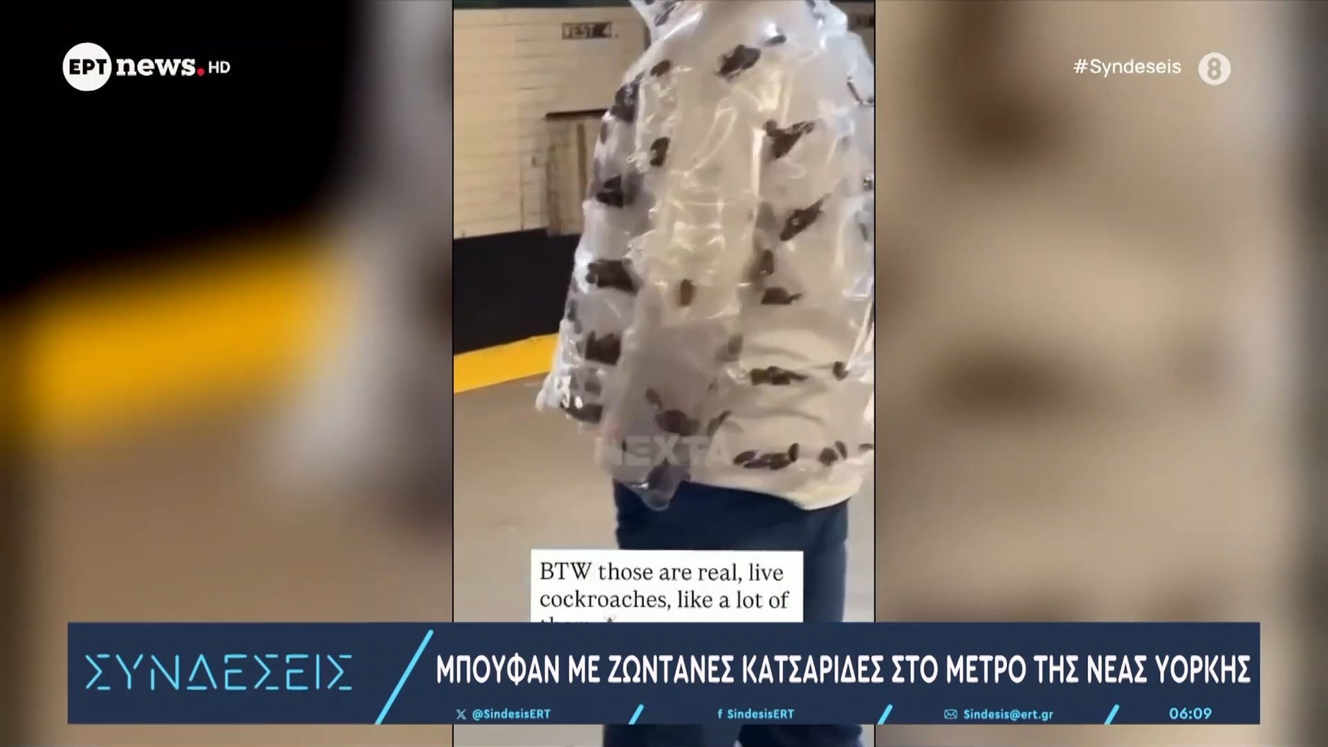 Μπουφάν με…ζωντανές κατσαρίδες στο μετρό της Νέας Υόρκης