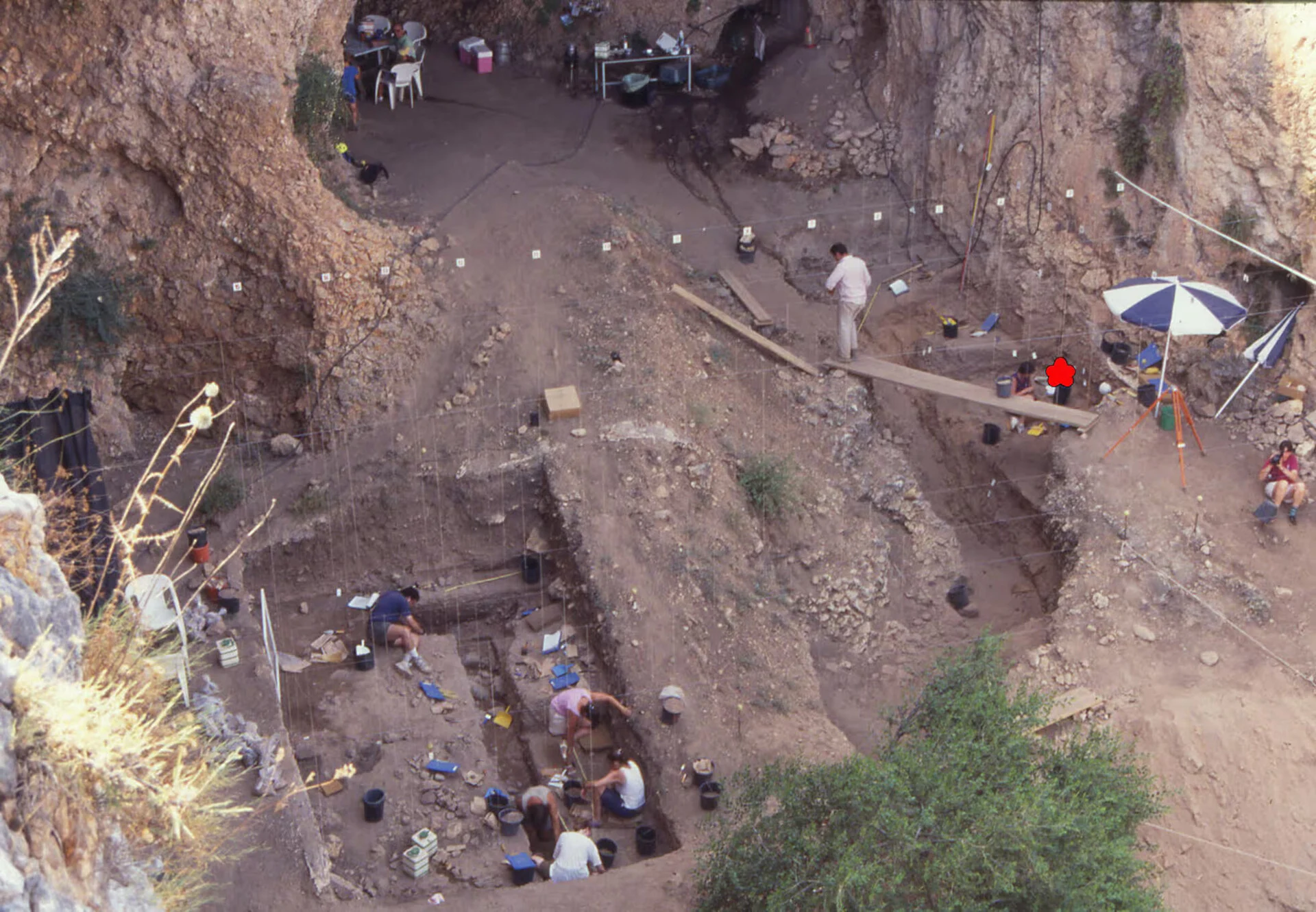 Τα μωρά των Νεάντερταλ αναπτύσσονταν ταχύτερα από εμάς; – Τι αποκαλύπτουν τα ευρήματα των οστών