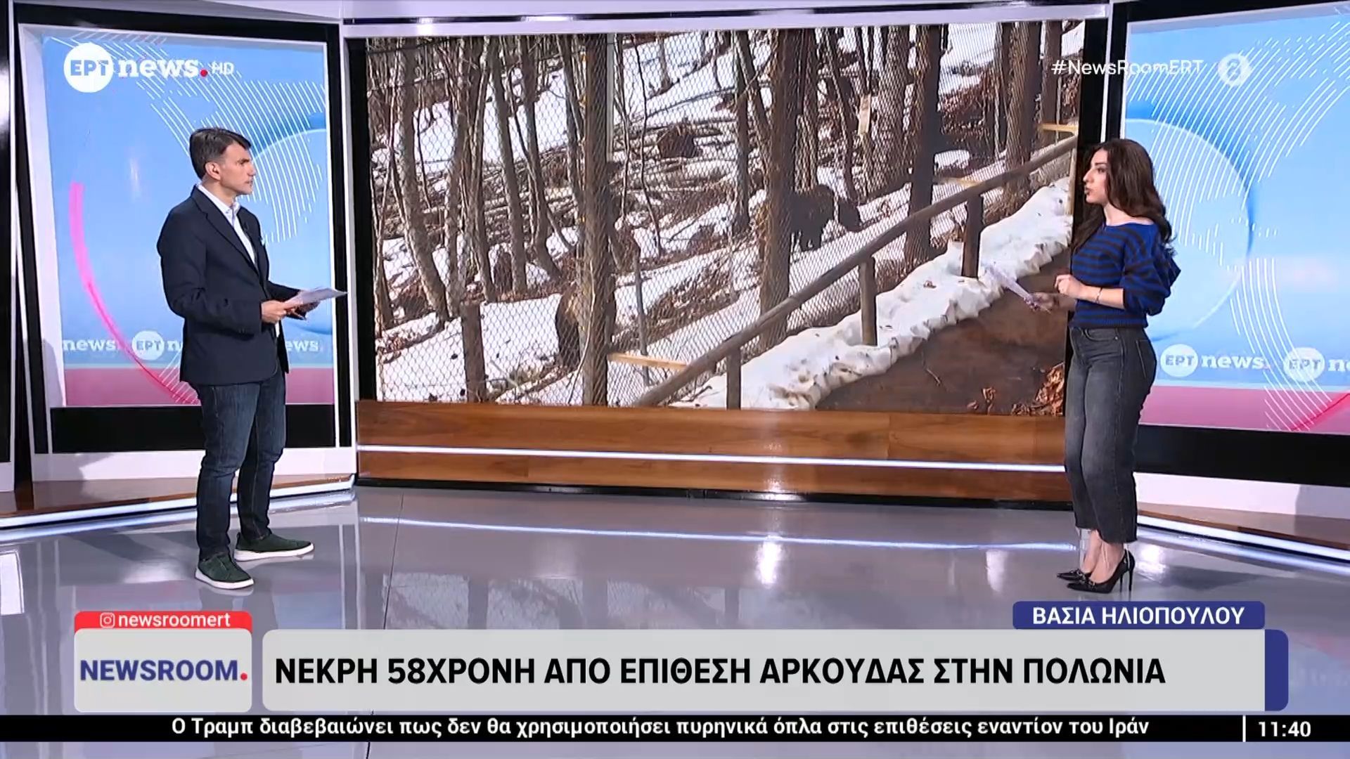 Νεκρή 58χρονη από επίθεση αρκούδας στην Πολωνία