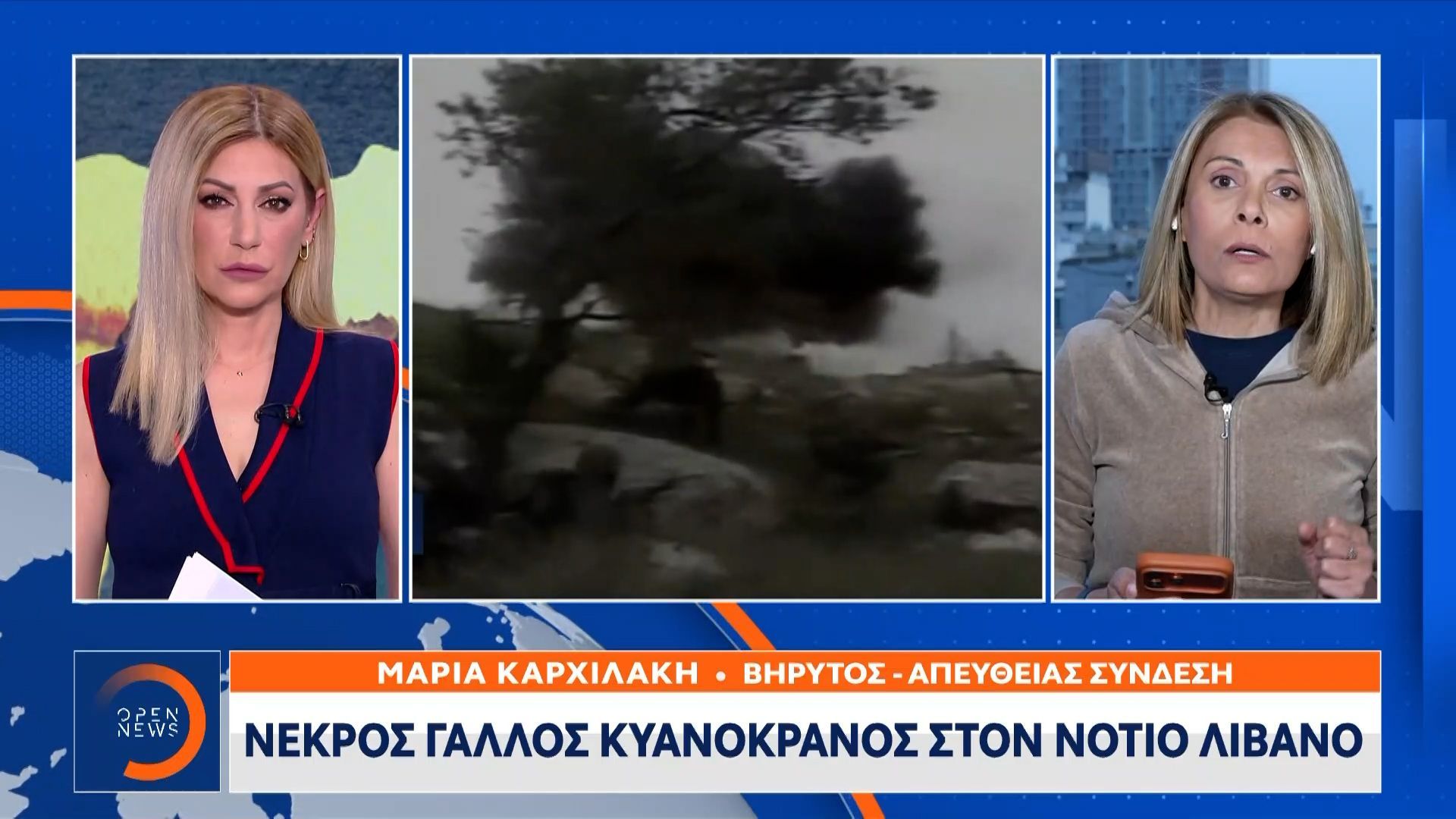 Νεκρός Γάλλος κυανόκρανος από πυρά στον νότιο Λίβανο