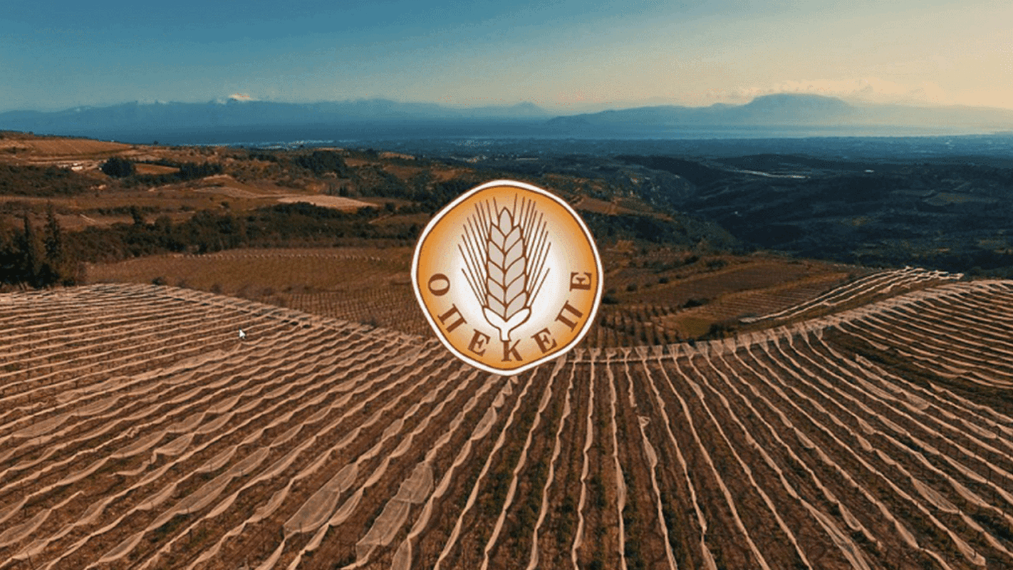 ΟΠΕΚΕΠΕ: Νέα δικογραφία αποκαλύπτει όνομα κορυφαίου πρώην υπουργού