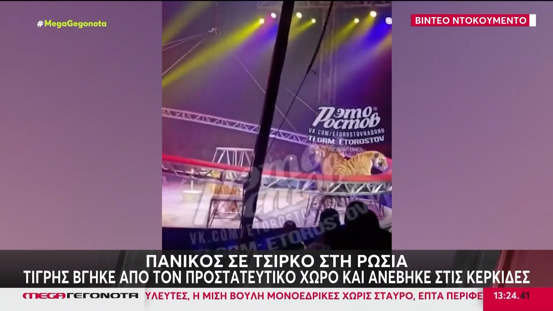 Πανικός σε τσίρκο στη Ρωδία: Τίγρης βγήκε από τον προστατευτικό χώρο και ανέβηκε στις κερκίδες