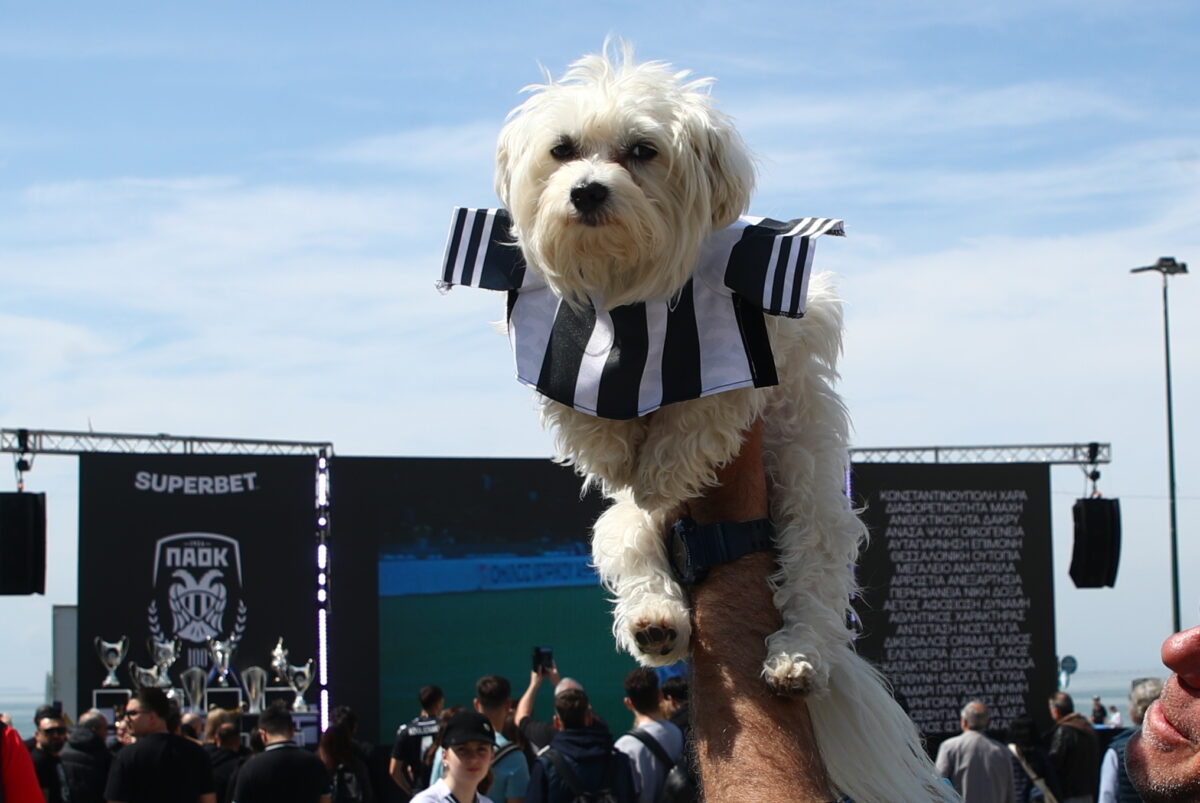Η πλατεία Αριστοτέλους ντύνεται ασπρόμαυρη για τα γενέθλια του ΠΑΟΚ: Ο κόσμος ποζάρει με τα τρόπαια του «δικεφάλου»