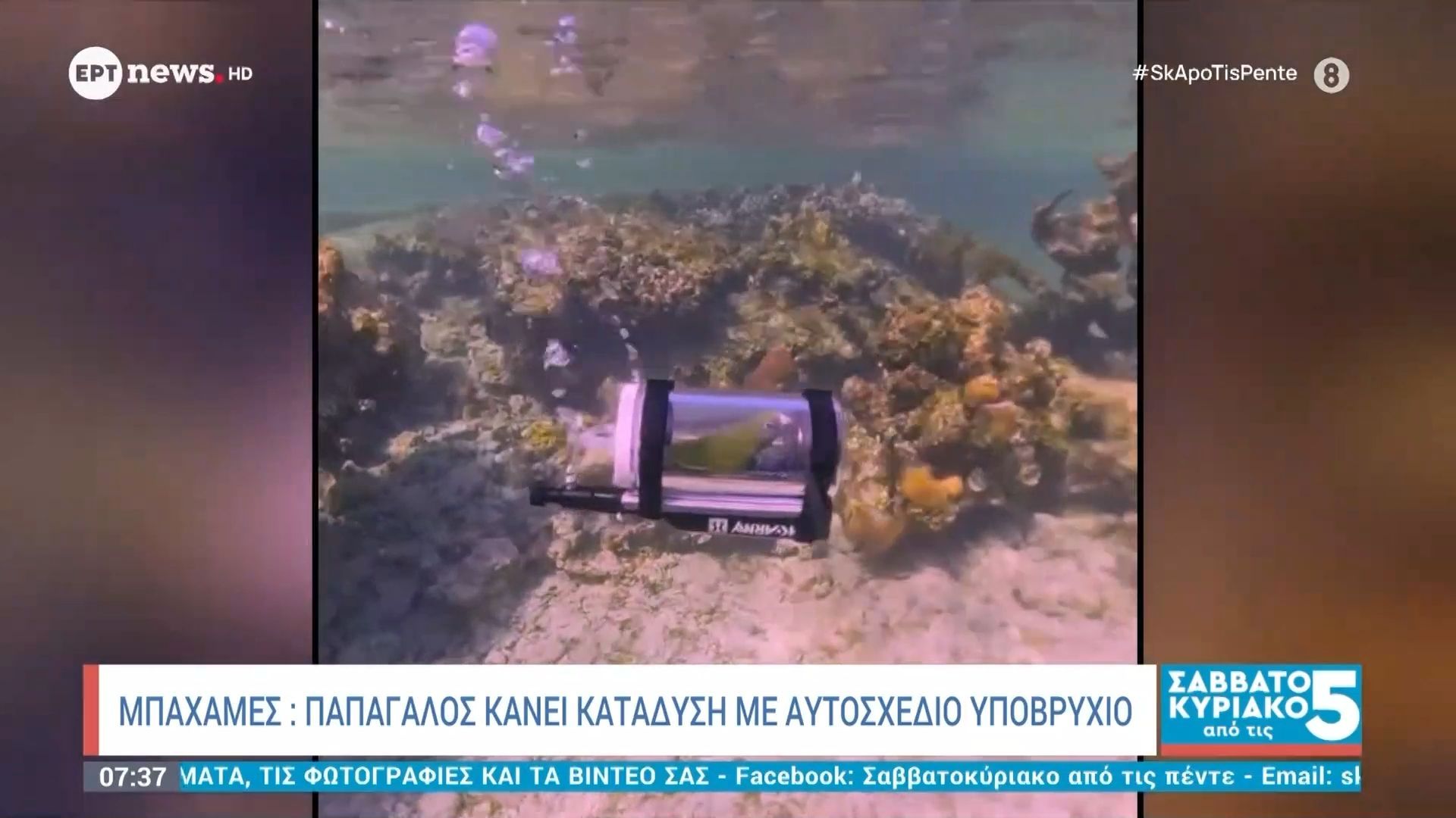 Home 110 Παπαγάλος εξερευνά τον βυθό στις Μπαχάμες με μίνι υποβρύχιο – Viral βίντεο με εκατομμύρια προβολές