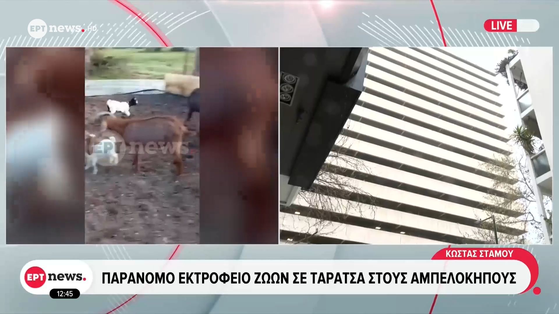 Παράνομο εκτροφείο ζώων σε ταράτσα στους Αμπελόκηπους