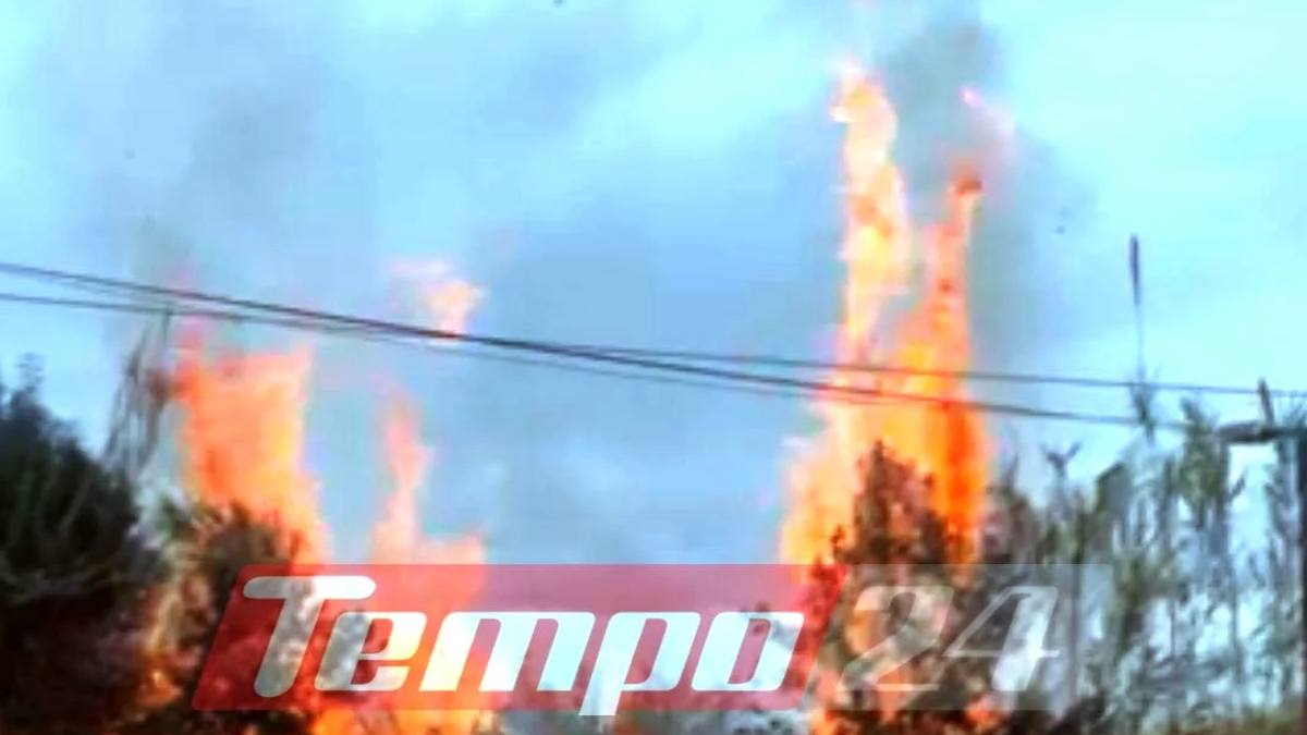 Πάτρα: Σπίτια σε κίνδυνο από πυρκαγιά στο Μπεγουλάκι, παράπονα για παραμελημένα οικόπεδα