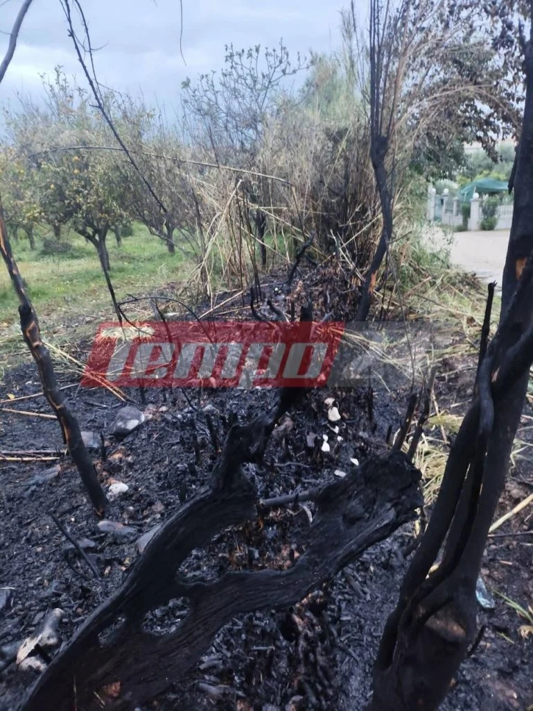 Πάτρα: Σπίτια σε κίνδυνο από πυρκαγιά στο Μπεγουλάκι, παράπονα για παραμελημένα οικόπεδα 2 Φωτιά στο Μπεγουλάκι Πάτρας