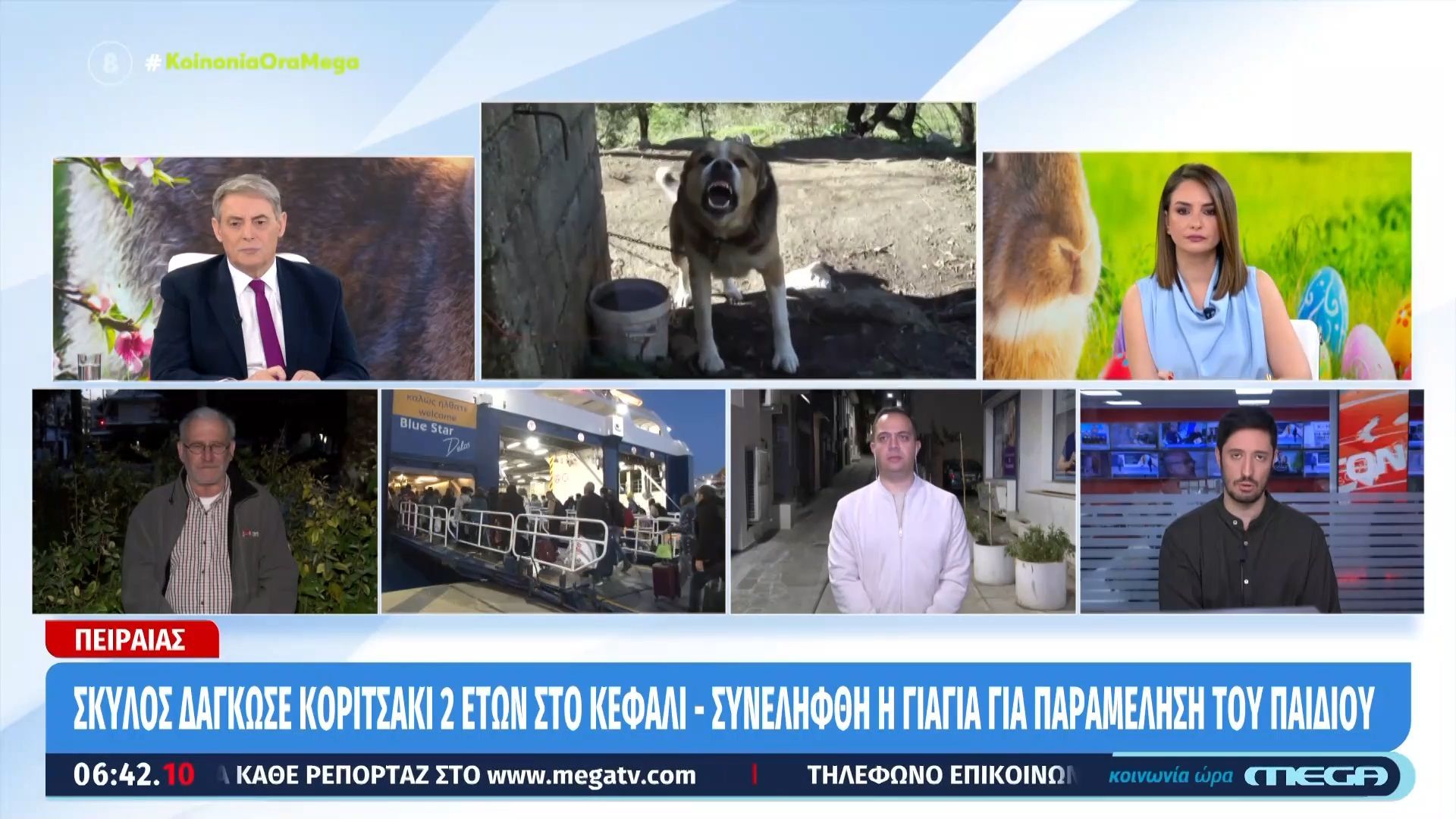 Πειραιάς: Σκύλος επιτέθηκε και δάγκωσε 2χρονο κοριτσάκι στο κεφάλι