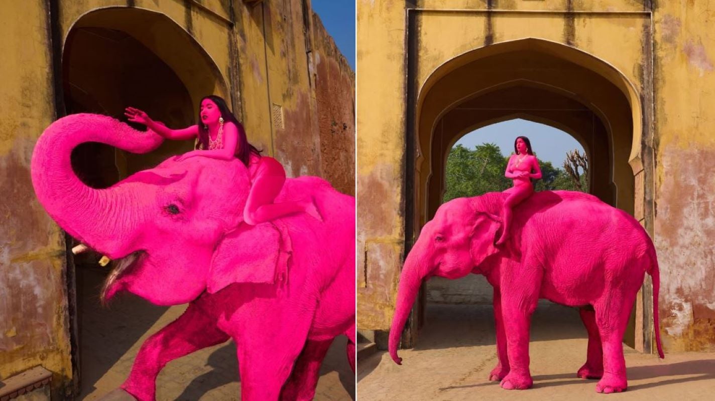 Ινδία: Θύελλα αντιδράσεων για Ρωσίδα φωτογράφο που έβαψε ροζ ηλικιωμένο ελέφαντα – Δέχεται απειλές μετά τον θάνατό του