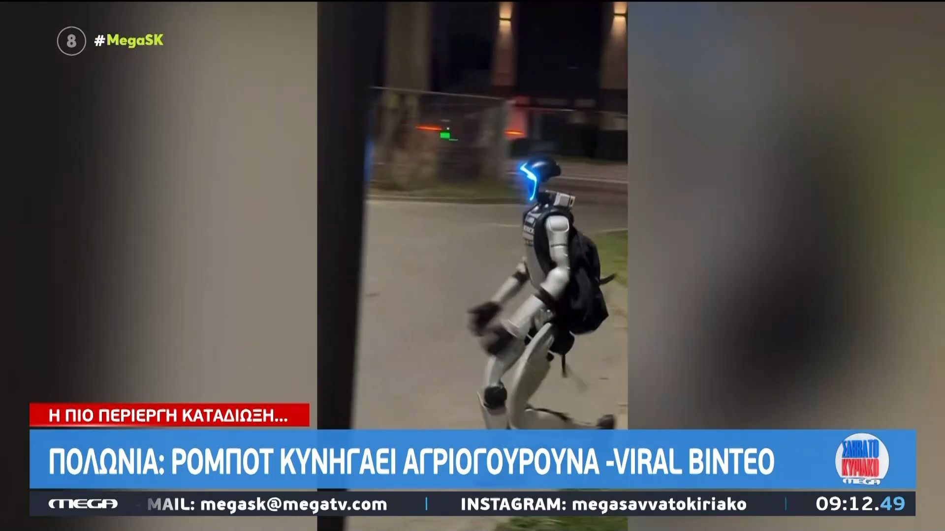 Πολωνία: Ρομπότ κυνηγάει αγριογούρουνα και γίνεται viral