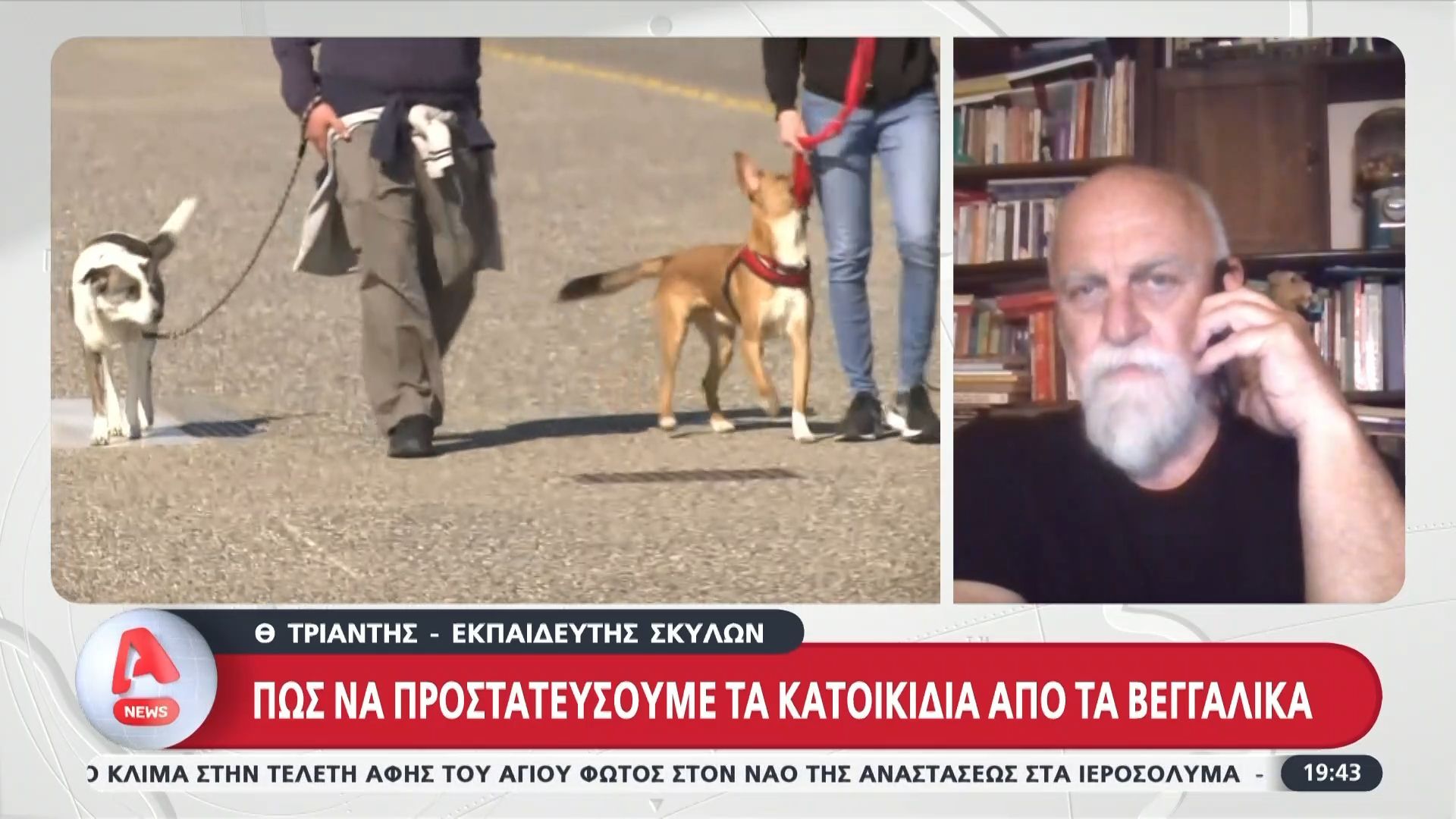 Πώς να προστατεύσουμε τα κατοικίδιά μας από τα βεγγαλικά