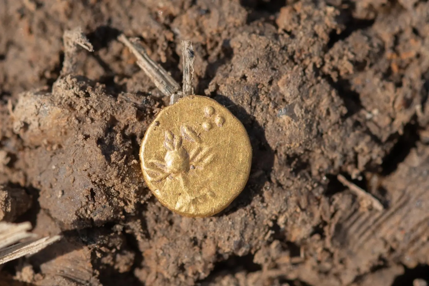 Τσεχία: Βρέθηκαν κέλτικα νομίσματα και χρυσός σε αγρό στο Πίλσεν