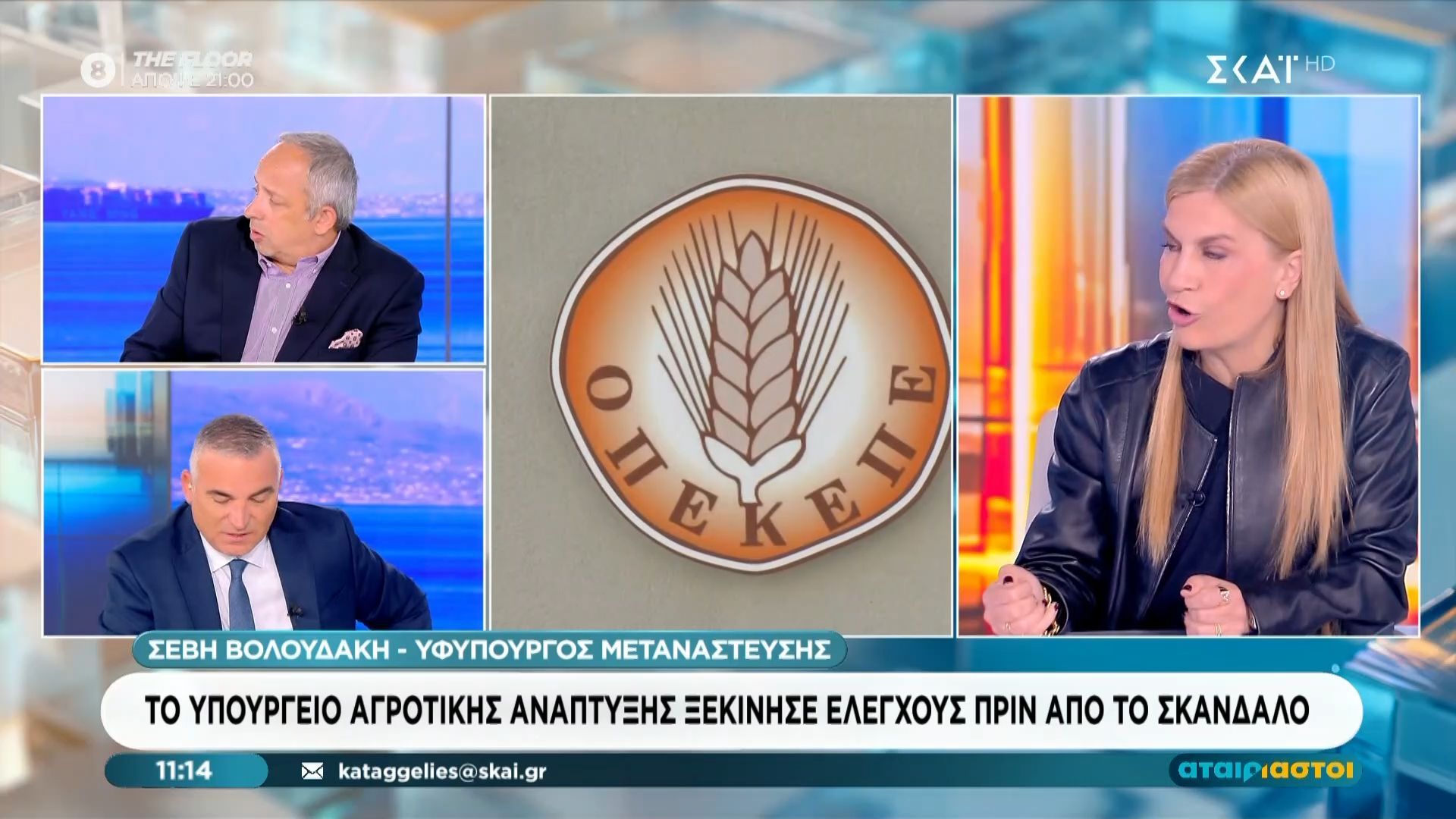 Σ. Βολουδάκη: «Το Υπουργείο Αγροτικής Ανάπτυξης ξεκίνησε ελέγχους πριν από το σκάνδαλο»