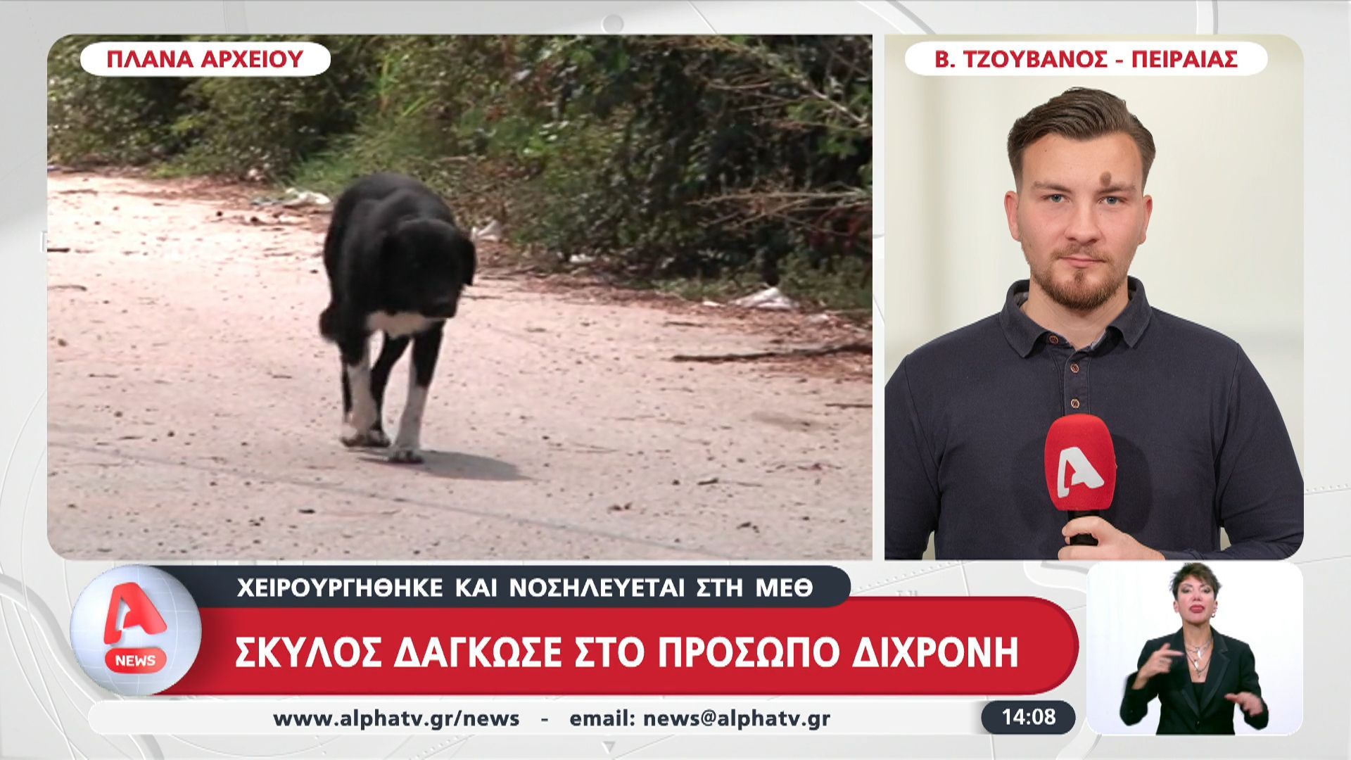 Σκύλος δάγκωσε στο πρόσωπο δίχρονο κοριτσάκι- Χειρουργήθηκε και νοσηλεύεται στη ΜΕΘ