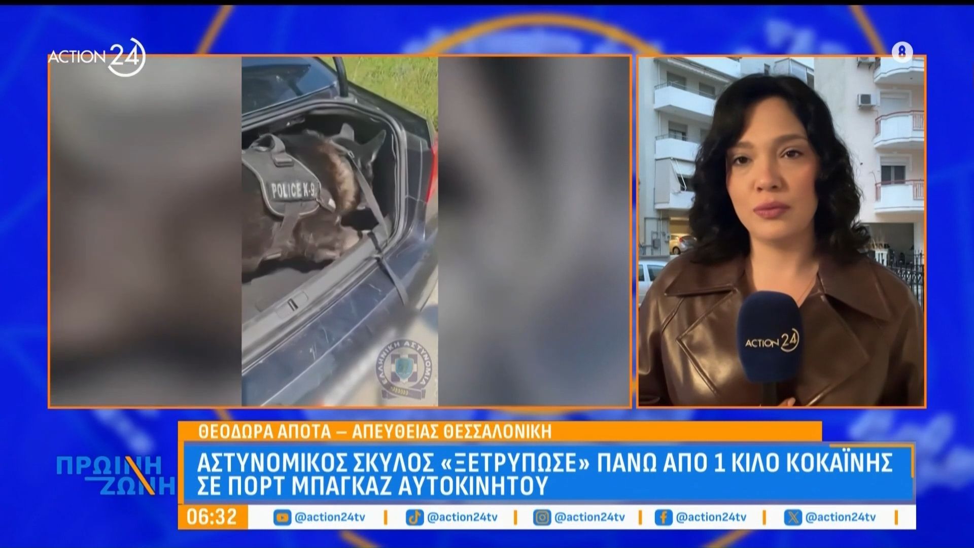 Σκύλος της αστυνομίας «ξετρύπωσε» 1 κιλό κοκαΐνης σε πορτ μπαγκάζ αυτοκινήτου