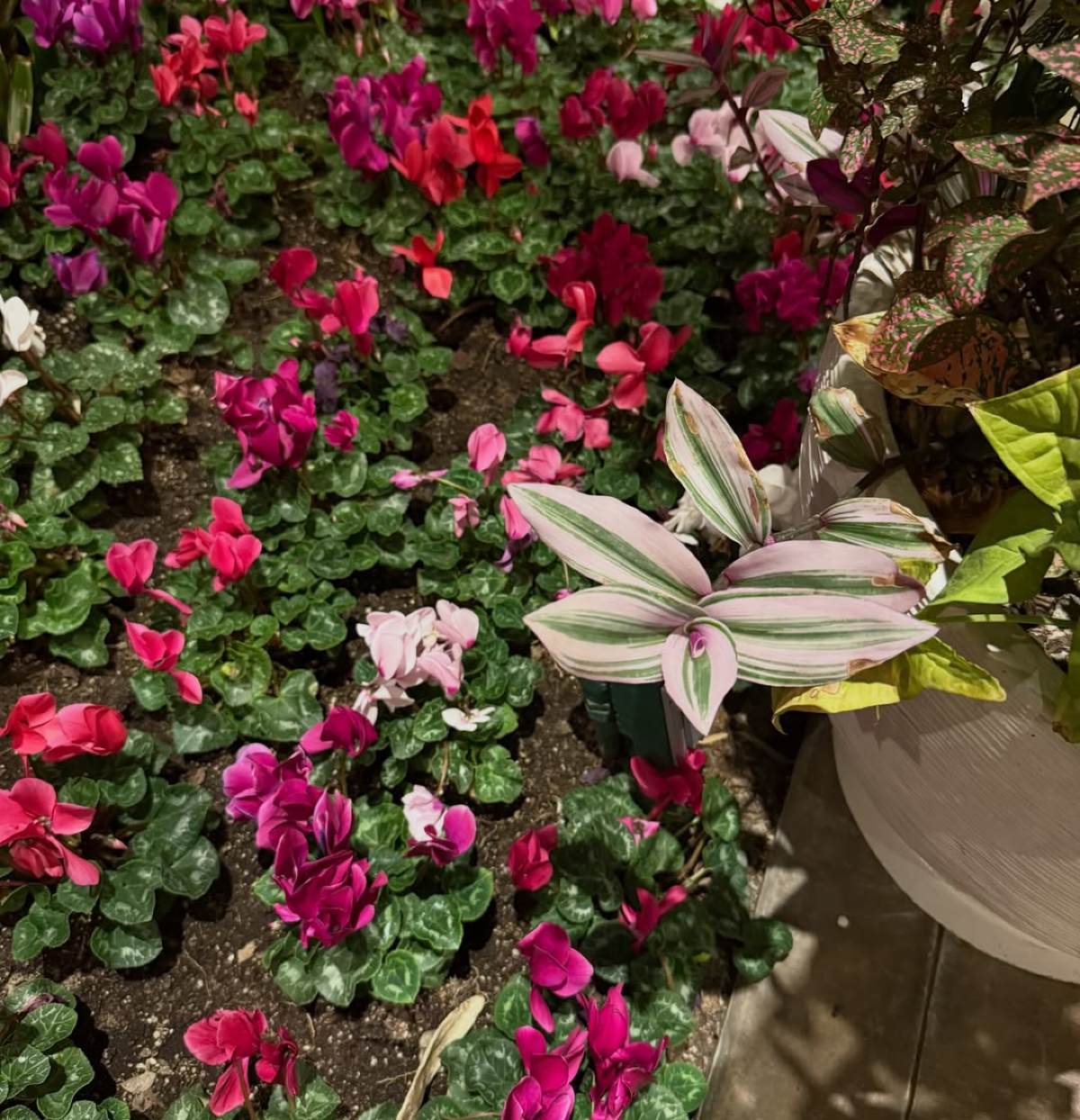 Κωνσταντίνα Σπυροπούλου: Πάνω από 4.000 δολάρια ανά διανυκτέρευση το πολυτελές ξενοδοχείο των διακοπών της! 15 Κωνσταντίνα Σπυροπούλου