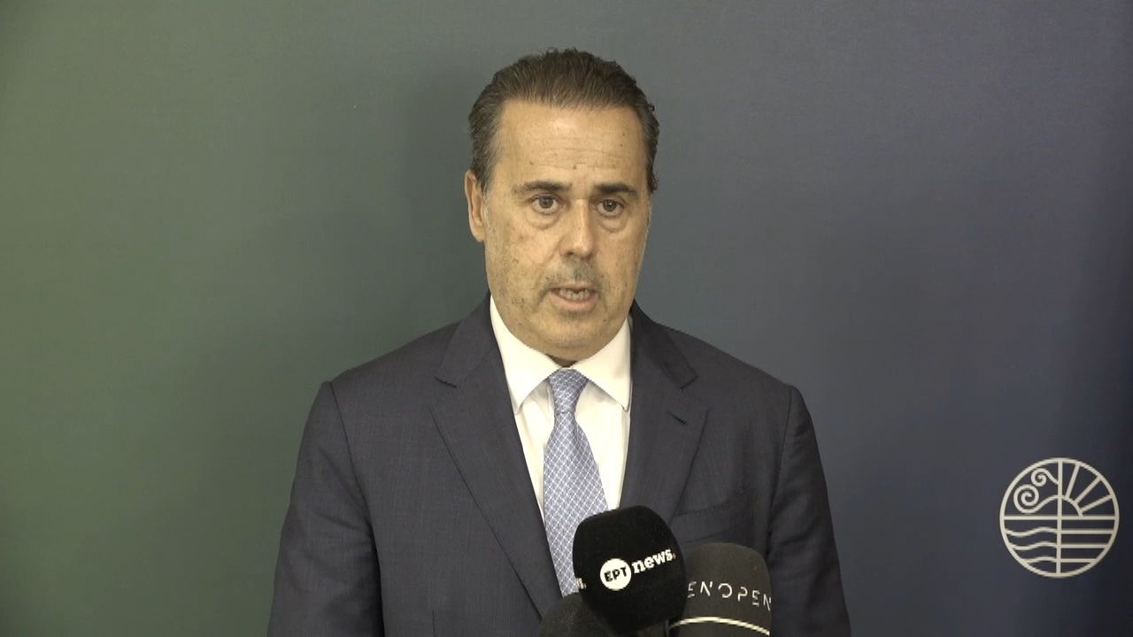 Στ. Παπασταύρου: Επιβεβαιώθηκε η πλήρης επάρκεια των ενεργειακών αποθεμάτων