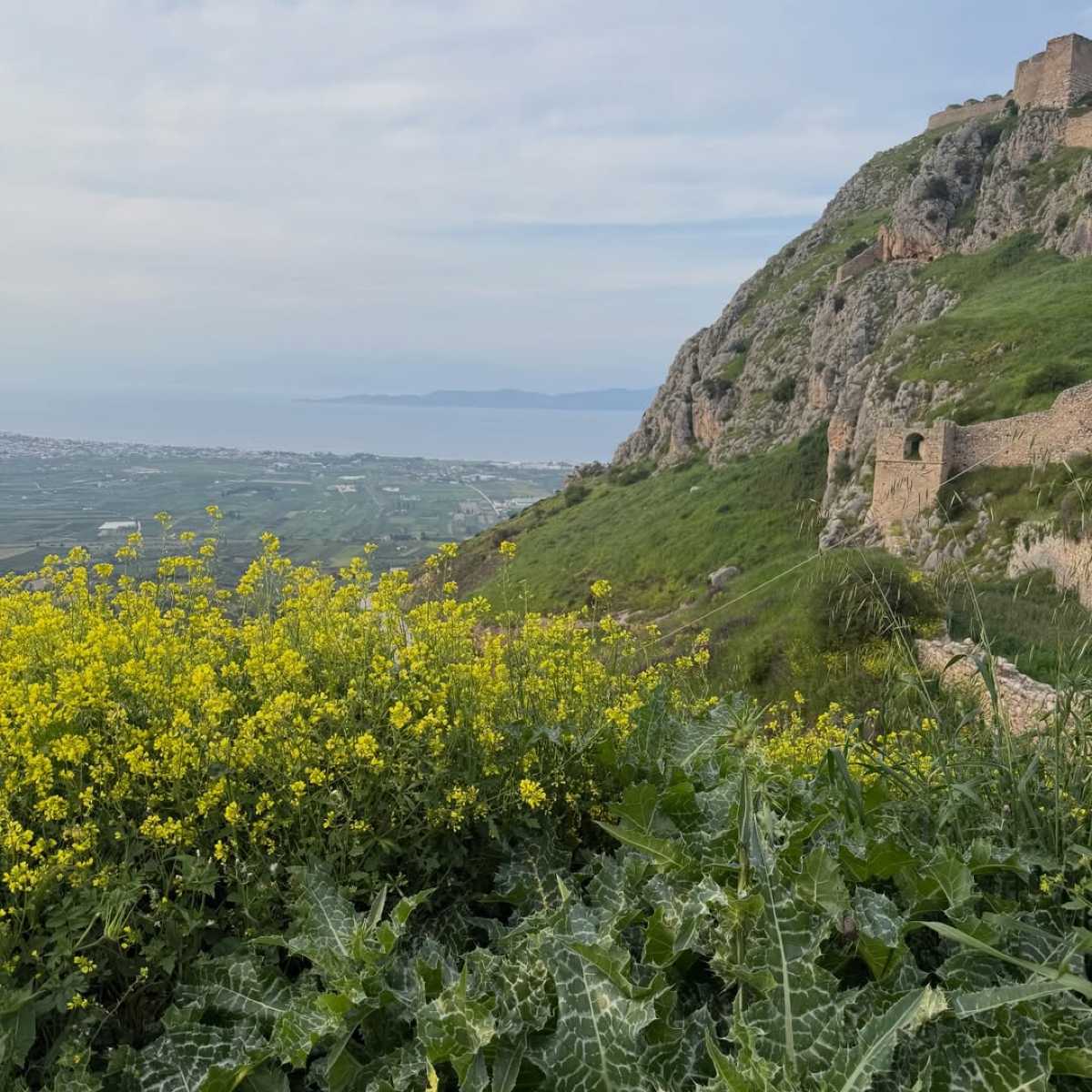 Σταματίνα Τσιμτσιλή