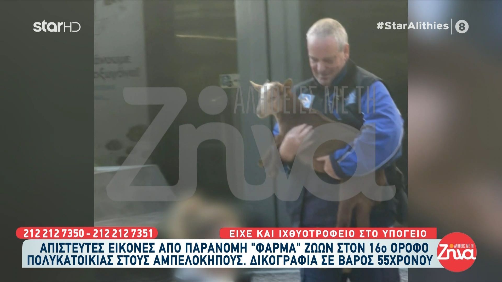 Συνεργεία του δήμου απομάκρυναν κότες, πάπιες και κατσίκες από την ταράτσα – Είχε και ιχθυοτροφείο στο υπόγειο