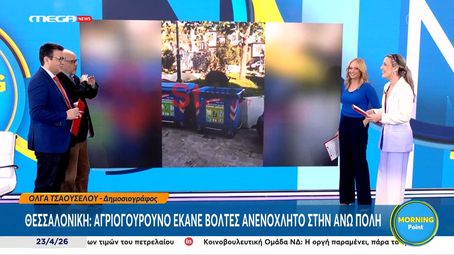 Θεσσαλονίκη: Αγριογούρουνο έκανε βόλτες ανενόχλητο στην άνω πόλη