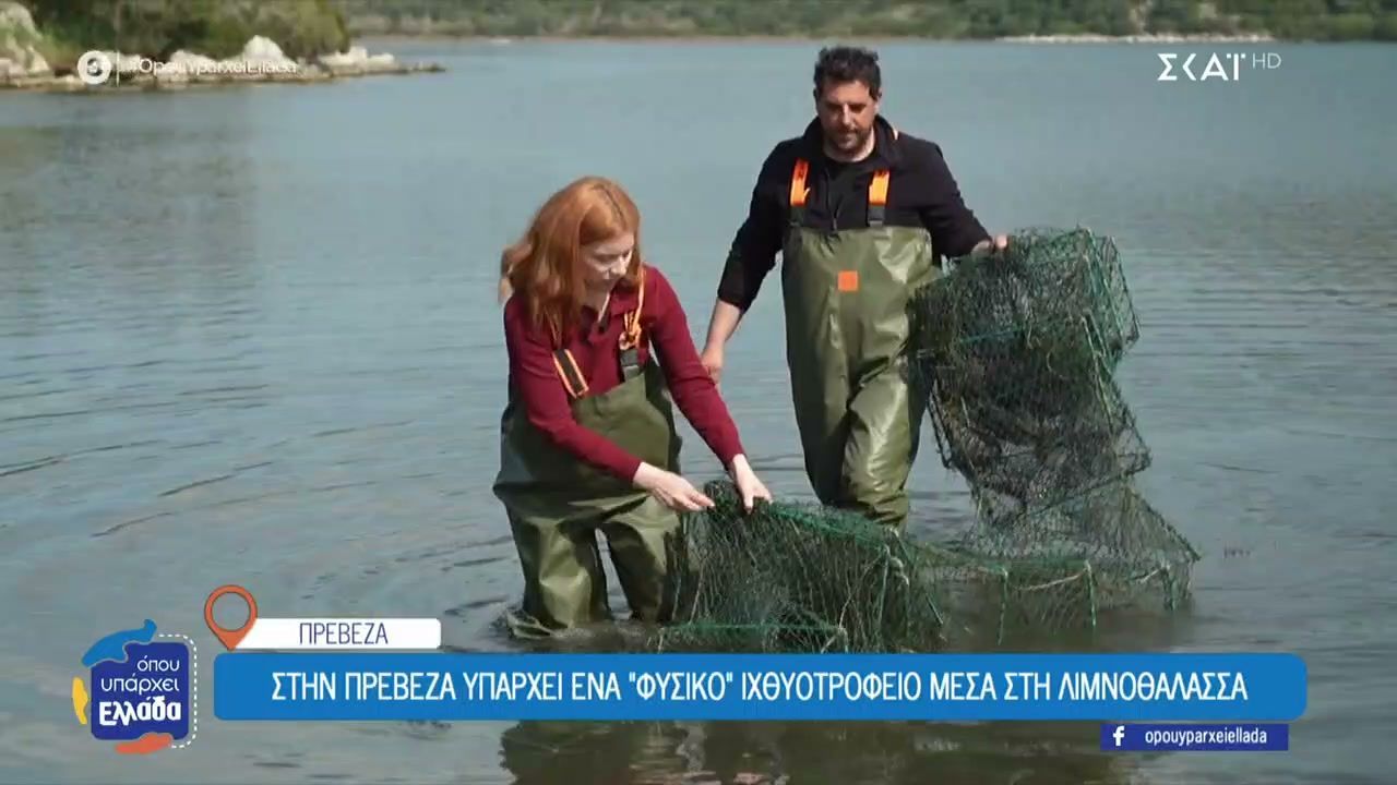Το «φυσικό» ιχθυοτροφείο μέσα στη λιμνοθάλασσας της Πρέβεζας – Ο παραδοσιακός τρόπος ψαρέματος