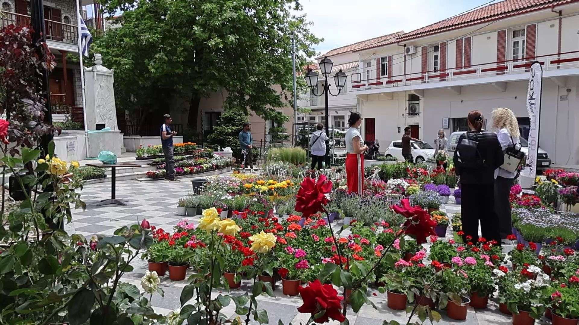 7η ανθοκομική έκθεση Δαύλειας