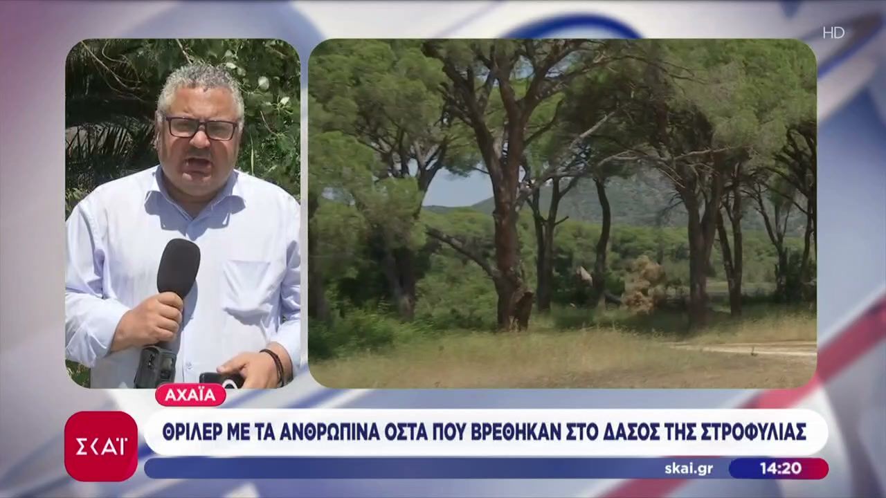 Αχαΐα: Θρίλερ με τα ανθρώπινα οστά που βρέθηκαν στο δάσος Στροφυλιάς