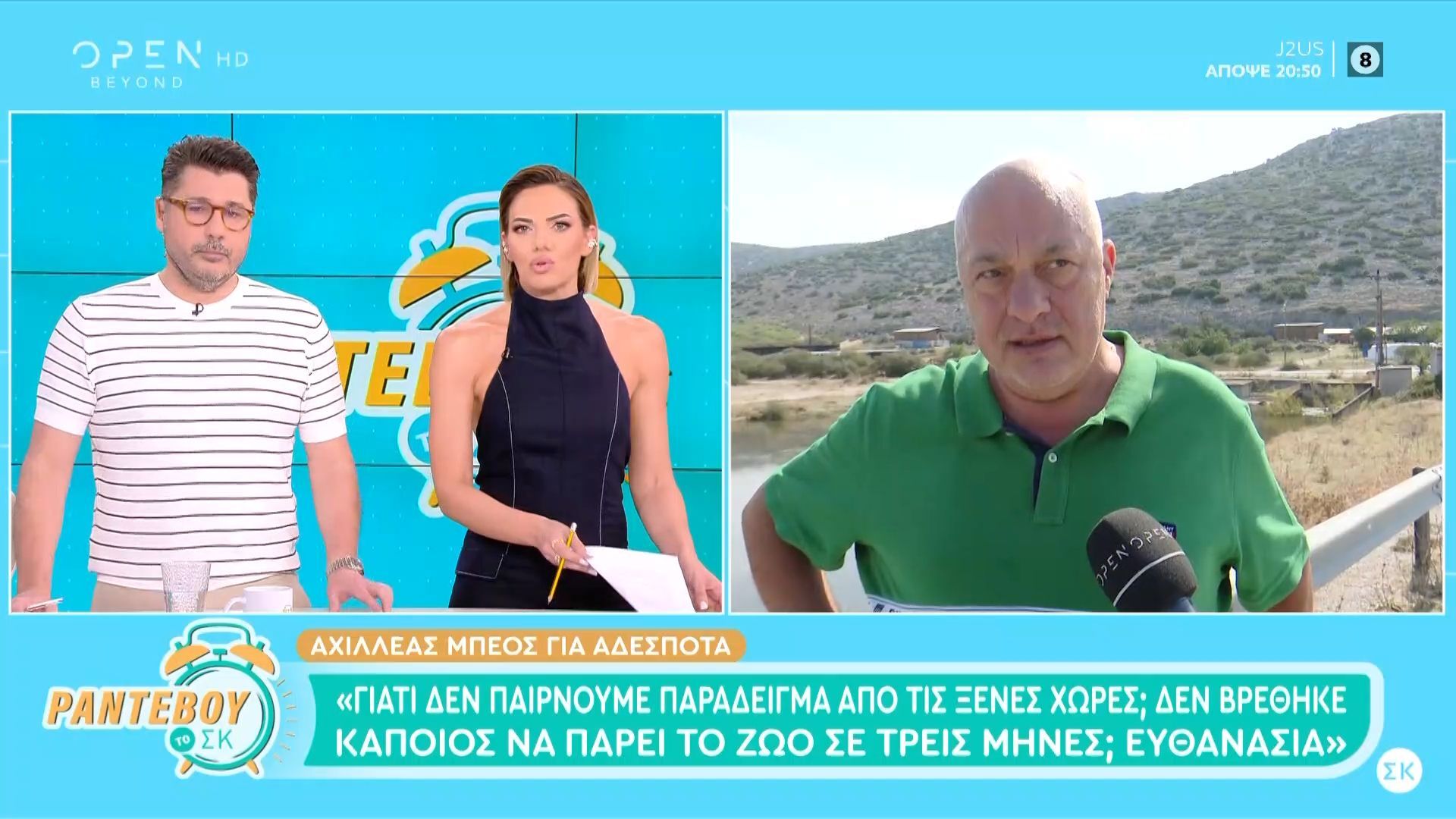 Αχιλλέας Μπέος: Υπέρ της ευθανασίας σε αδέσποτα που δεν υιοθετούνται μέσα σε τρεις μήνες