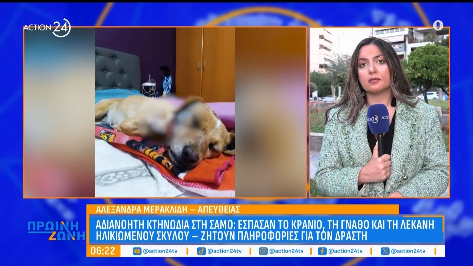 Αδιανόητη κτηνωδία στη Σάμο: Έσπασαν το κρανίο, τη γνάθο και τη λεκάνη ηλικιωμένου σκύλου – Ζητούν πληροφορίες για τον δράστη