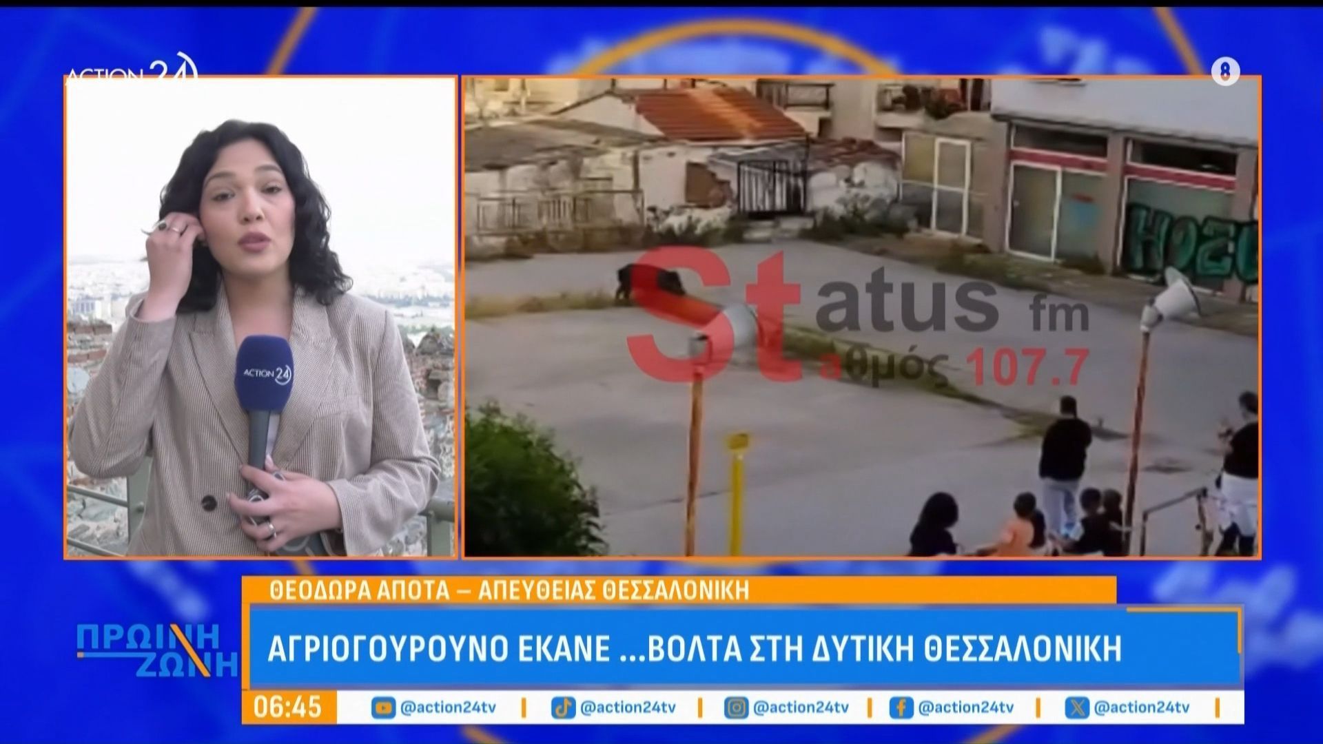 Αγριογούρουνο έκανε βόλτα στην Δυτική Θεσσαλονίκη