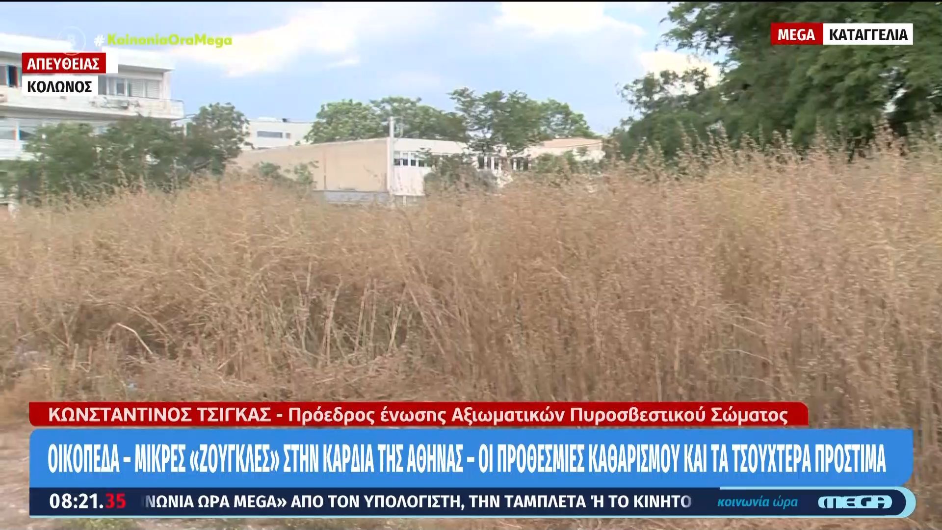 Ακαθάριστα οικόπεδα: Οι προθεσμίες καθαρισμού και τα τσουχτερά πρόστιμα