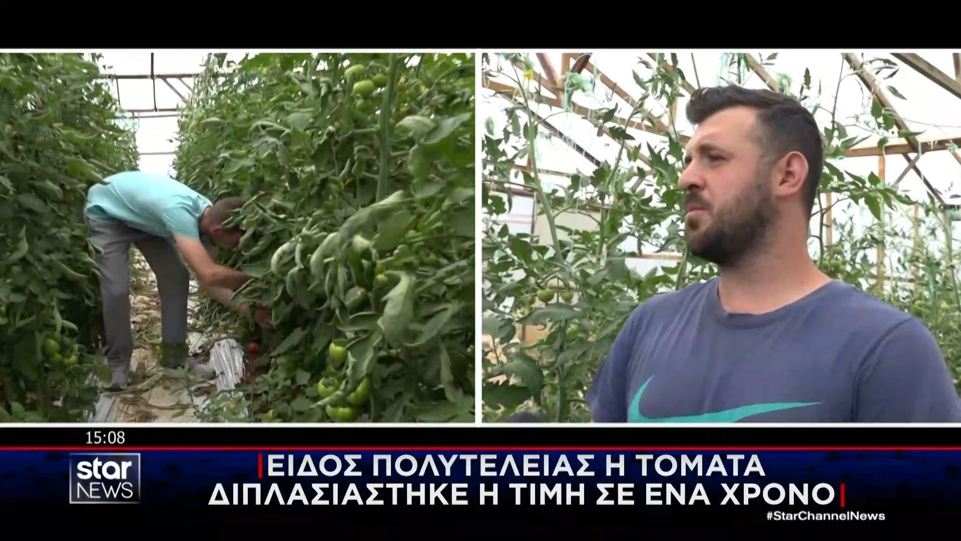 Ακρίβεια: Μαρούλια και τομάτες από «χρυσάφι»