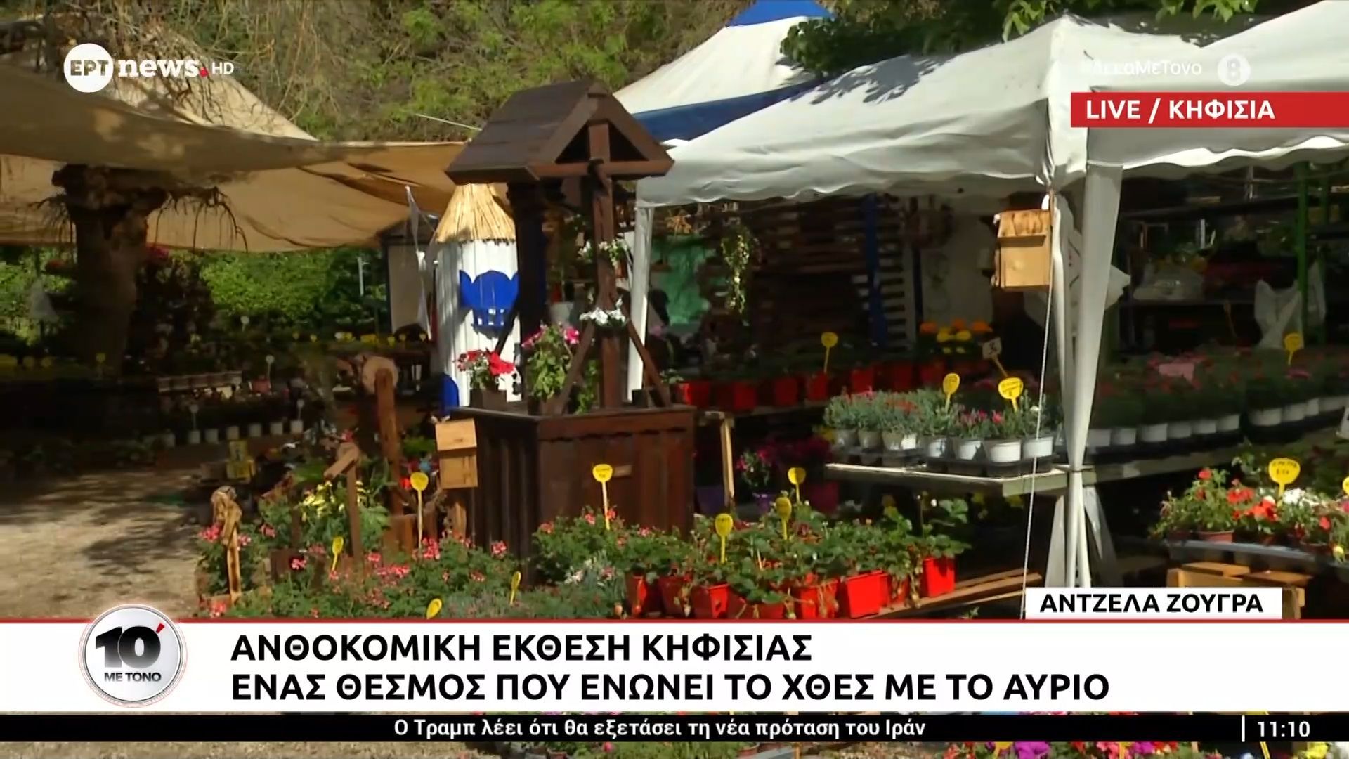 Ανθοκομική έκθεση Κηφισιάς: Ένας θεσμός που ενώνει το χθες με το αύριο
