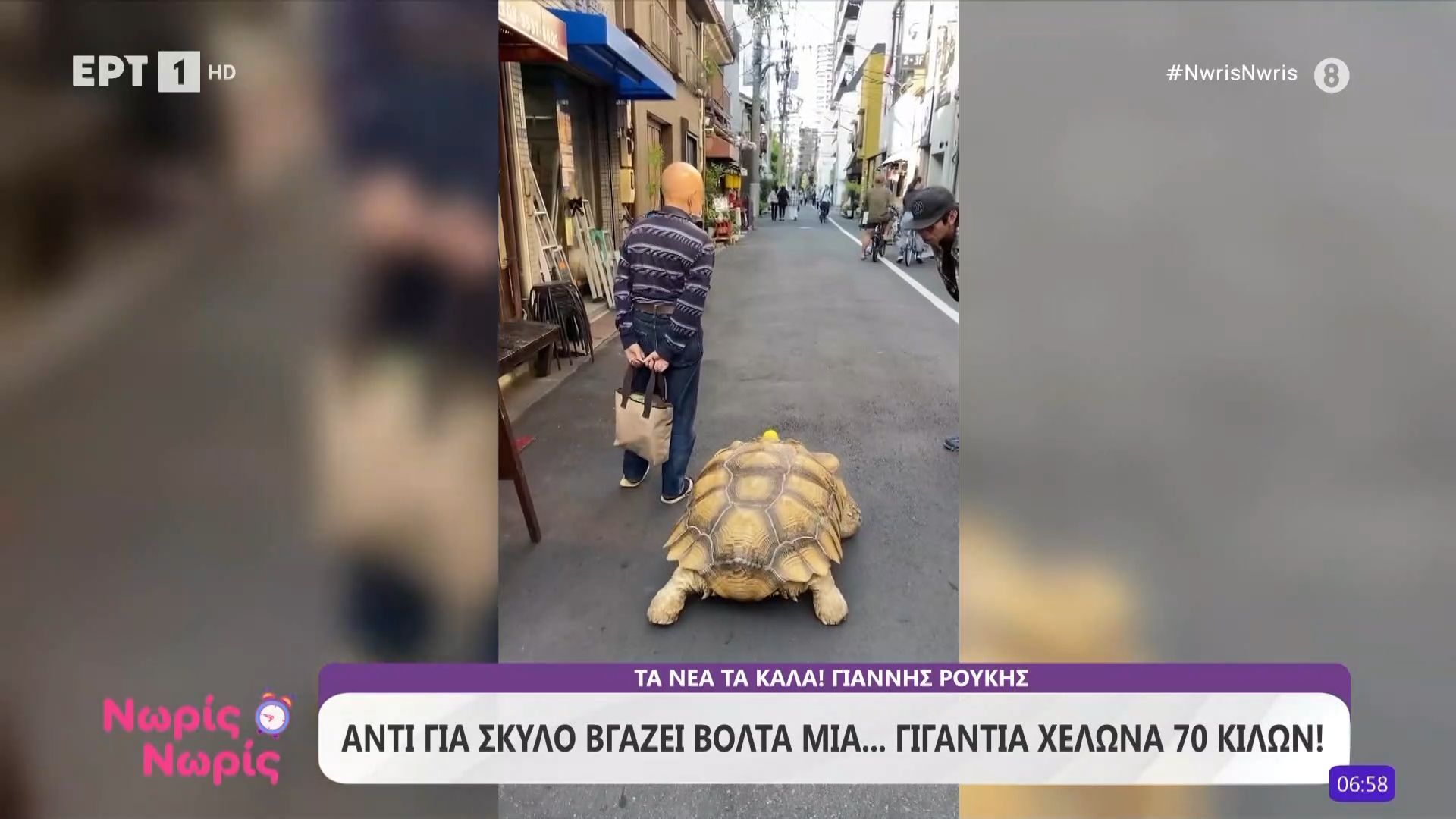Αντί για σκύλο βγάζει βόλτα μια γιγαντιαία χελώνα… 70 κιλών