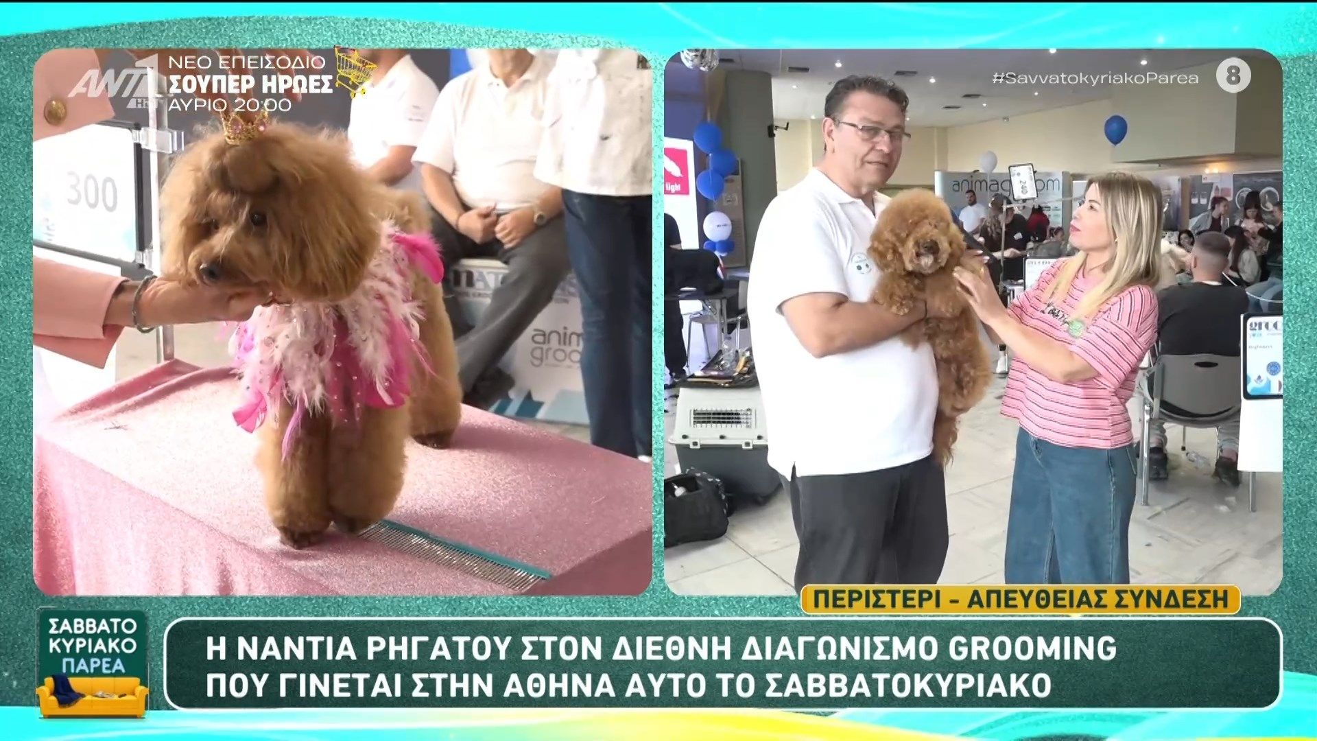 Διεθνής Διαγωνισμός Grooming στην Αθήνα – Σαββατοκύριακο Παρέα – 03/05/2026